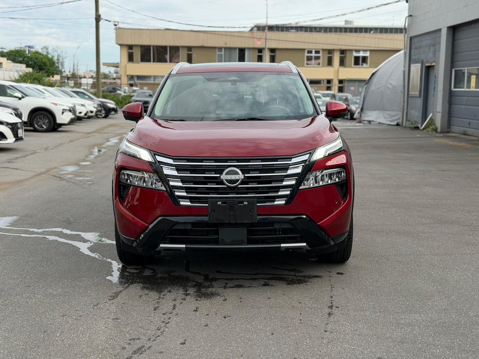 2024  Rogue