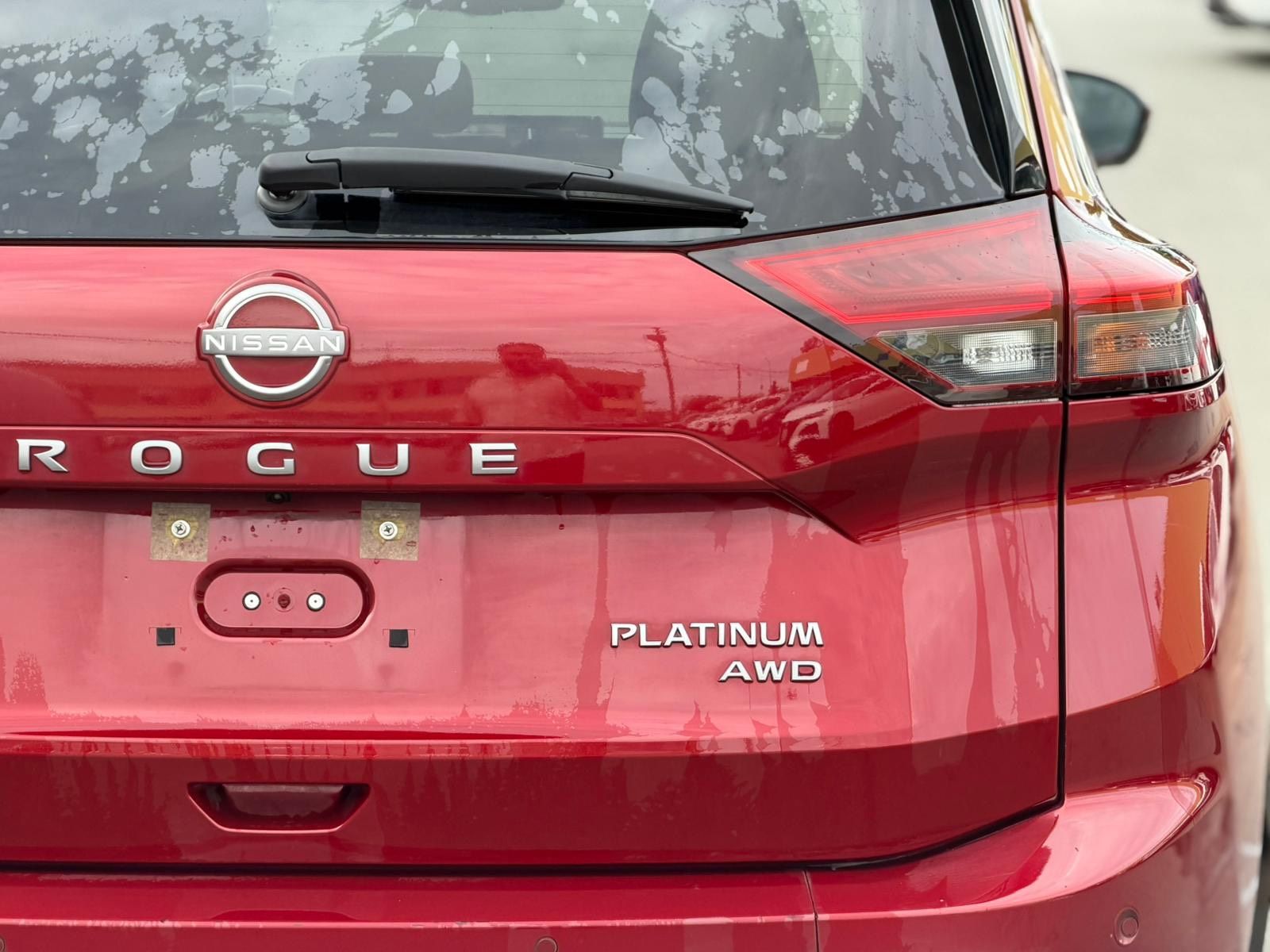 2024  Rogue