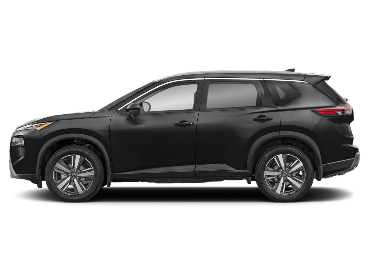 2024  Rogue