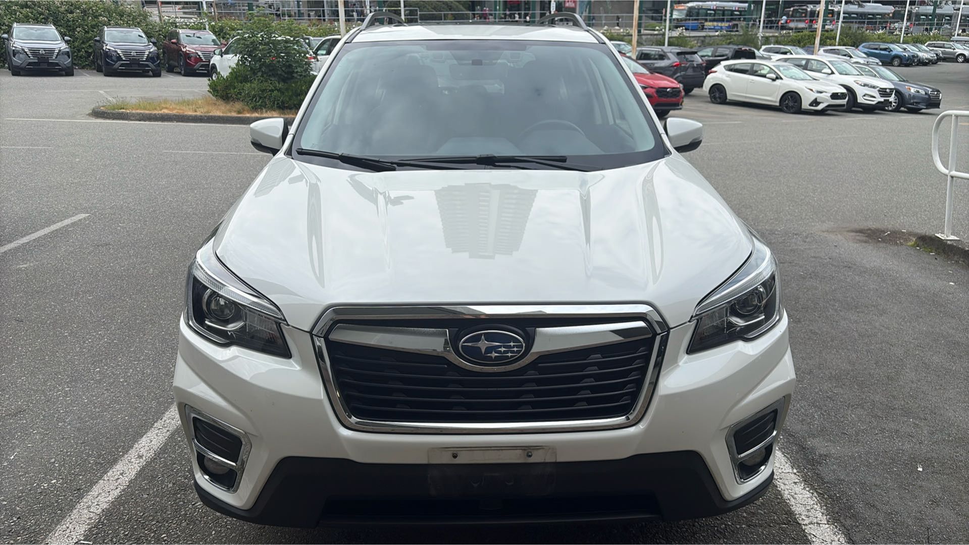 2019  Forester