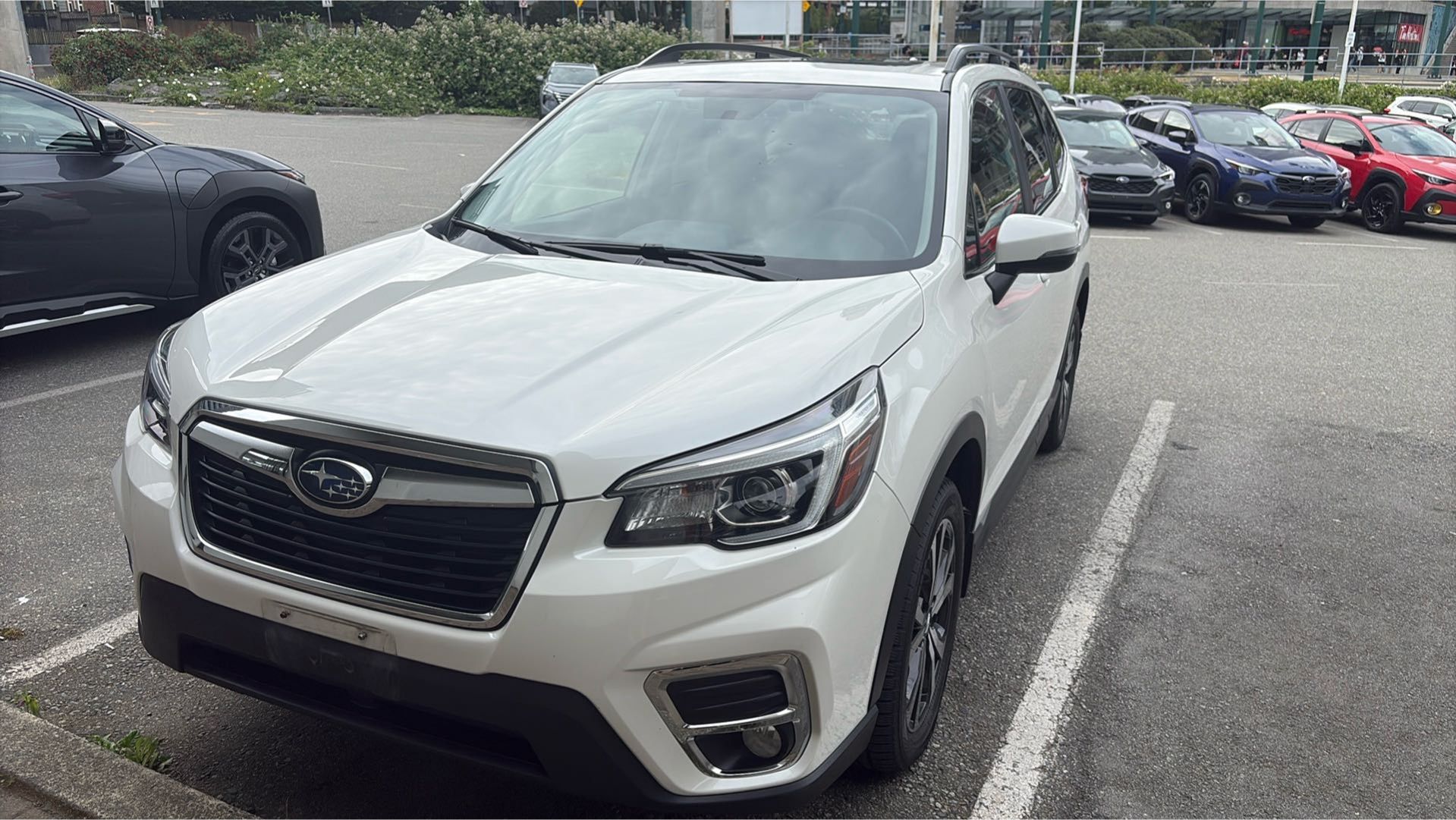 2019  Forester