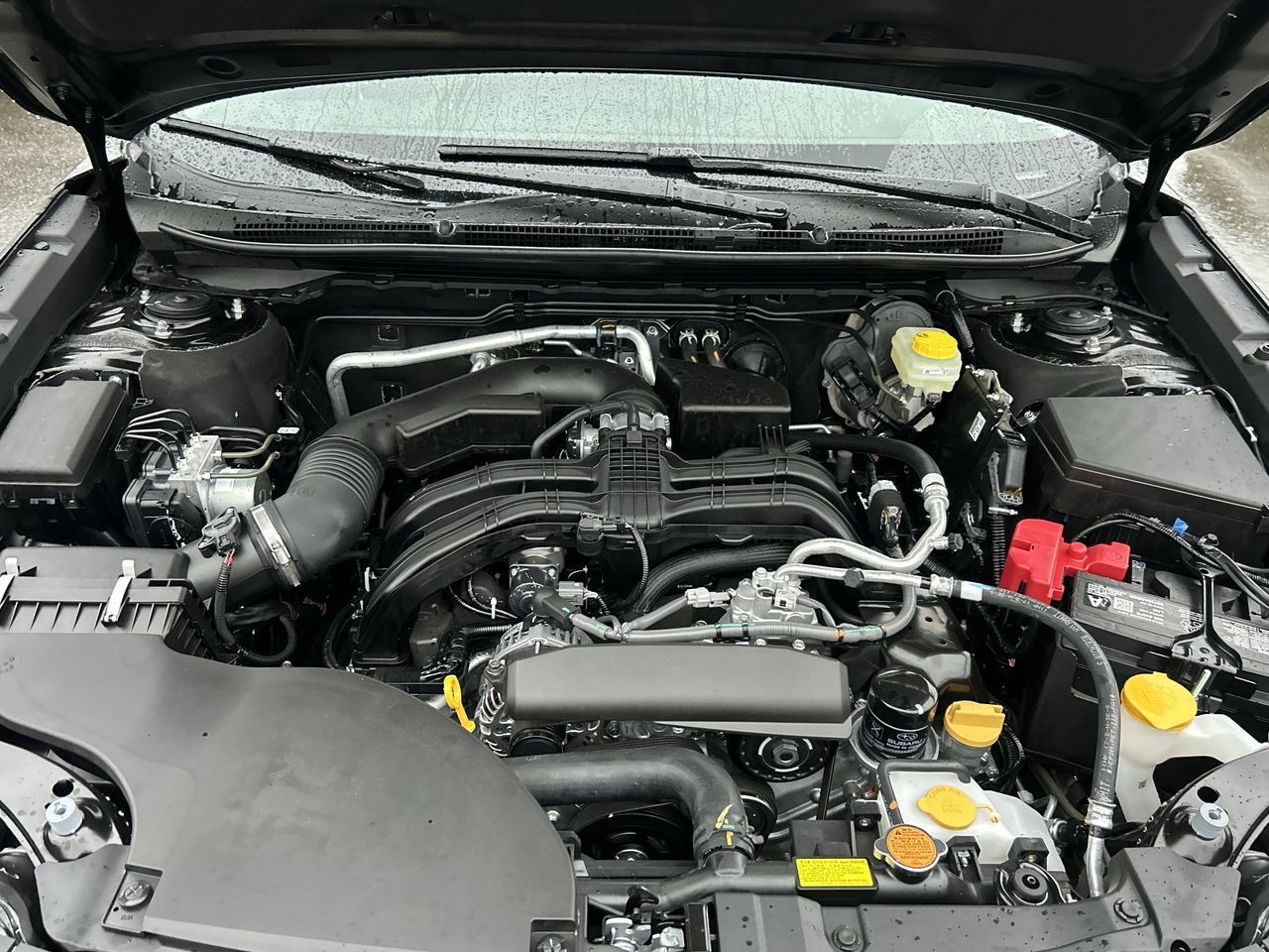 2025 Subaru Outback in Vancouver, British Columbia