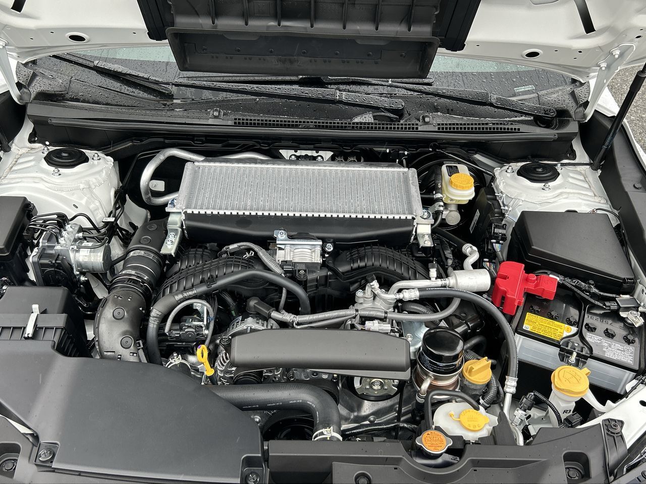 2025 Subaru WRX in Vancouver, British Columbia