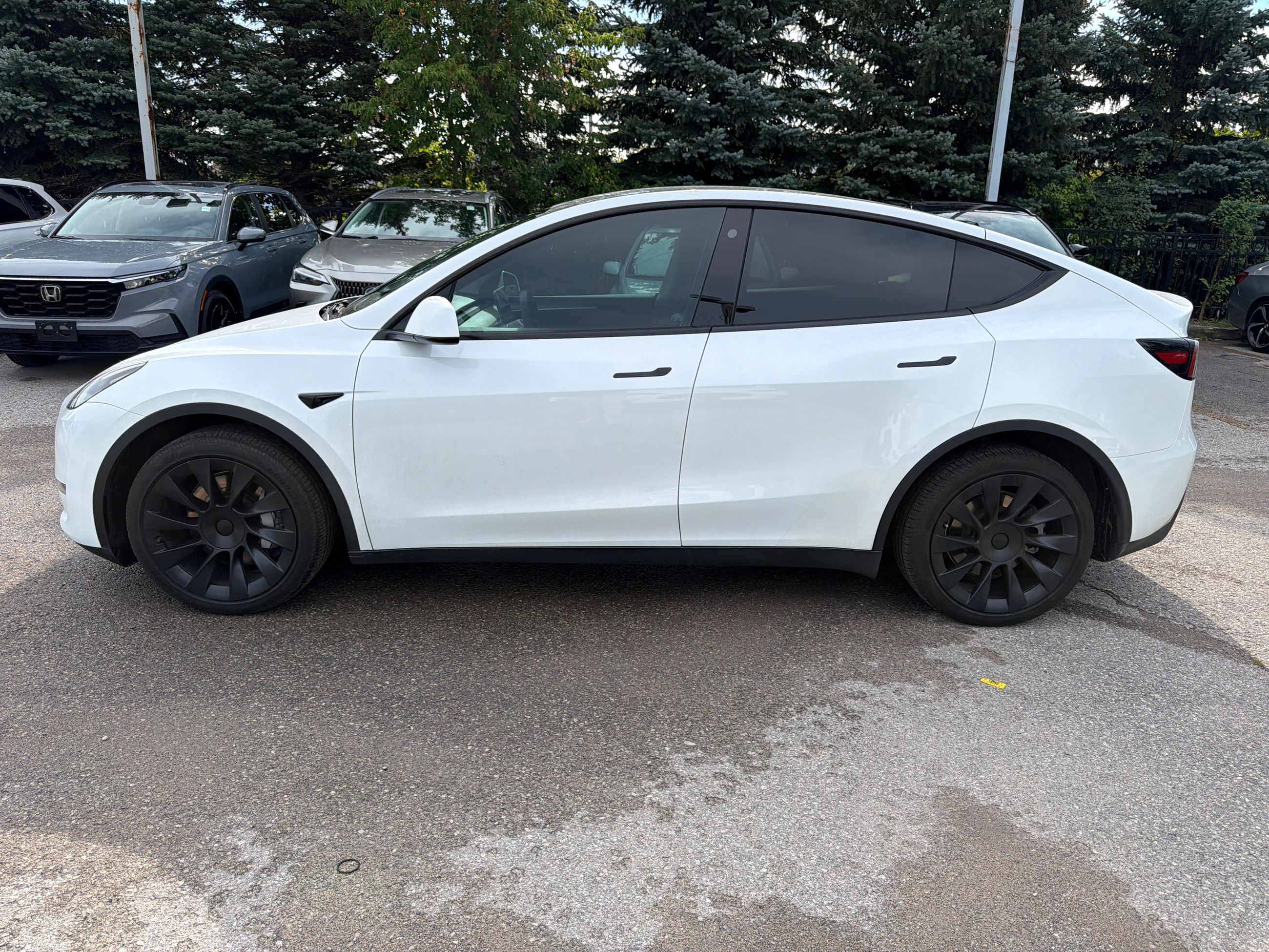 2023 Tesla Model Y in Markham, Ontario