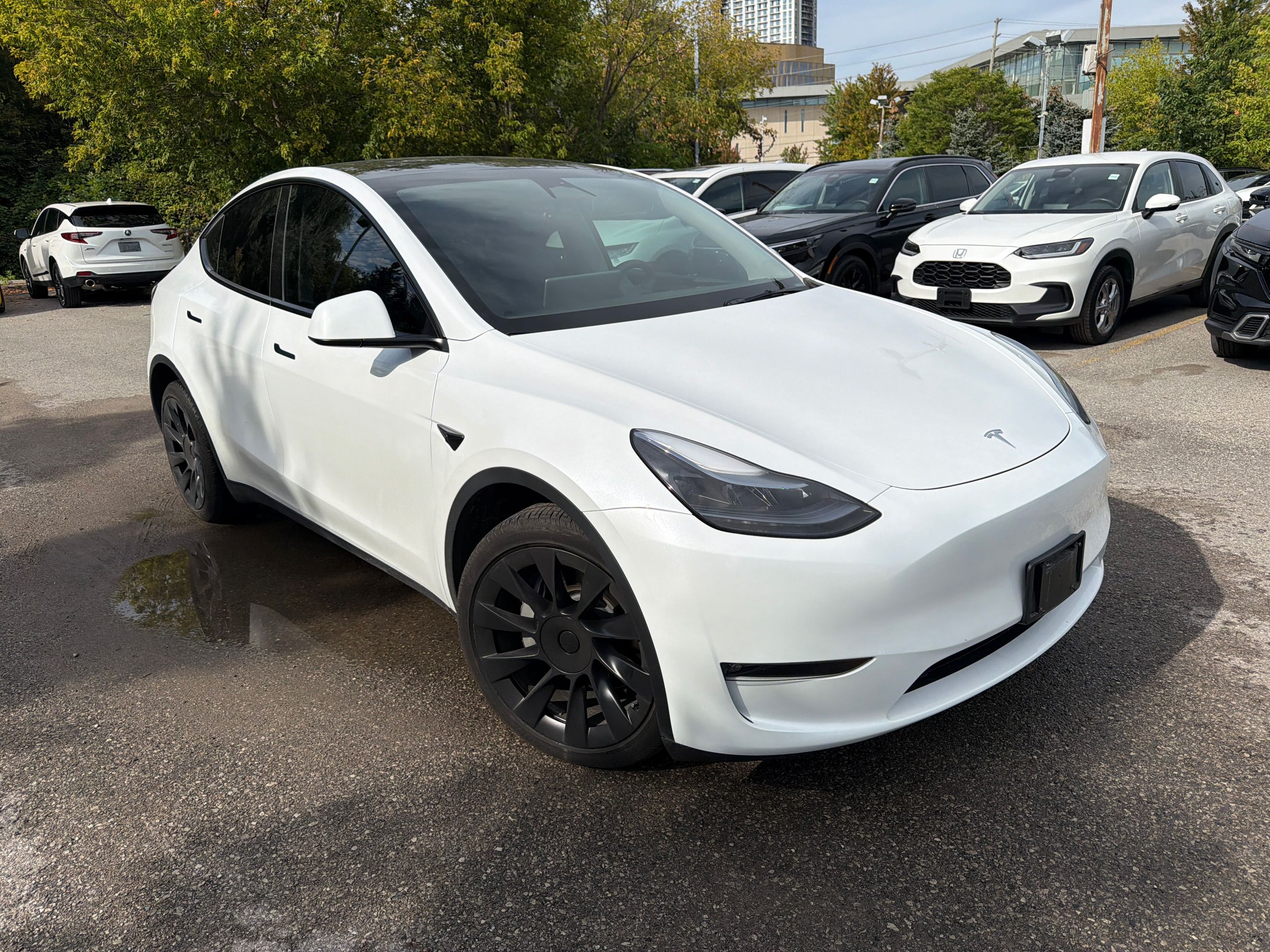 2023 Tesla Model Y in Markham, Ontario