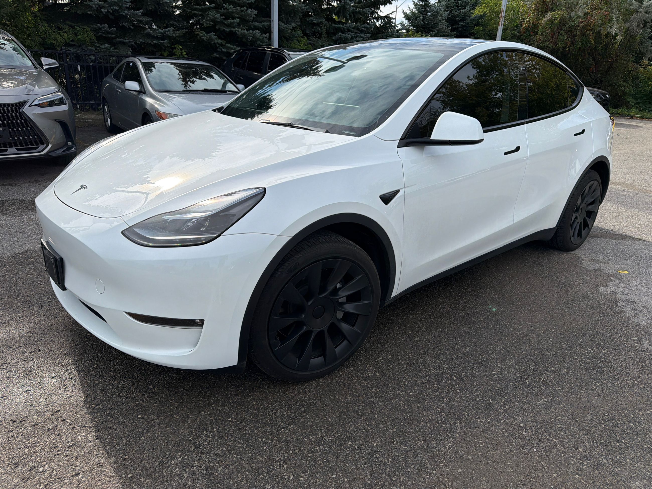 2023 Tesla Model Y in Markham, Ontario
