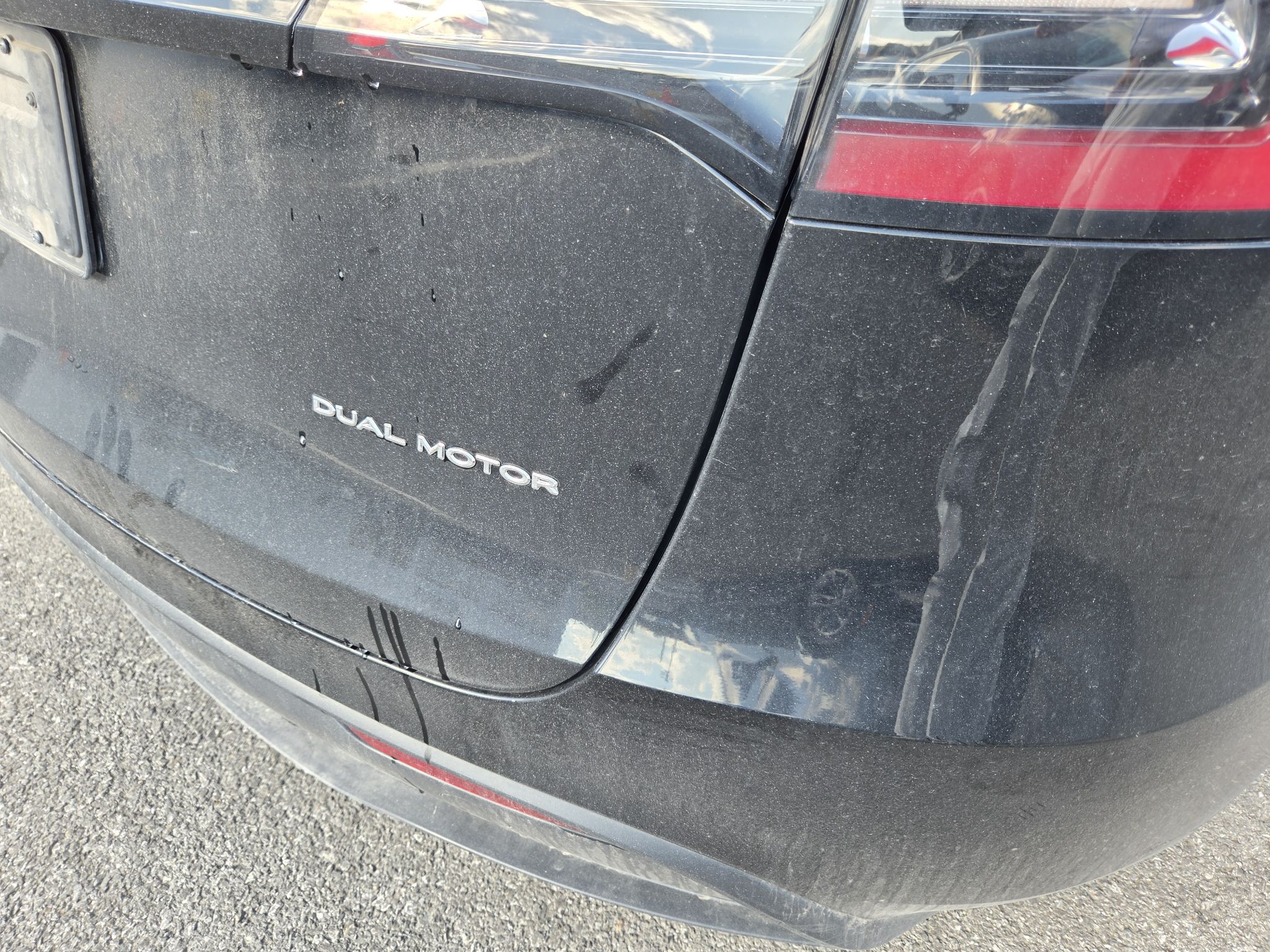 Tesla Model Y  2024 à Dollard-des-Ormeaux, Québec
