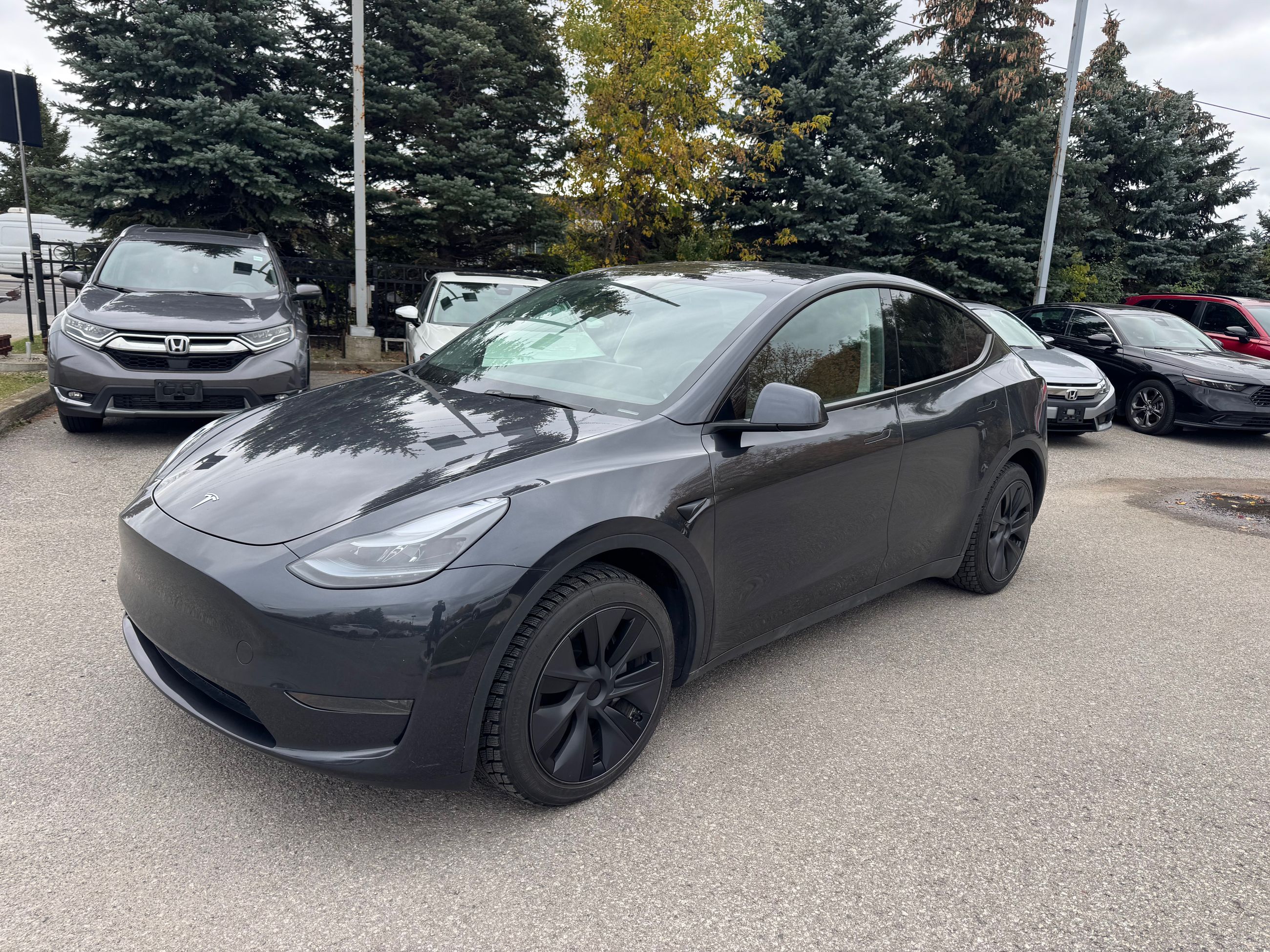 2025 Tesla Model Y in Markham, Ontario