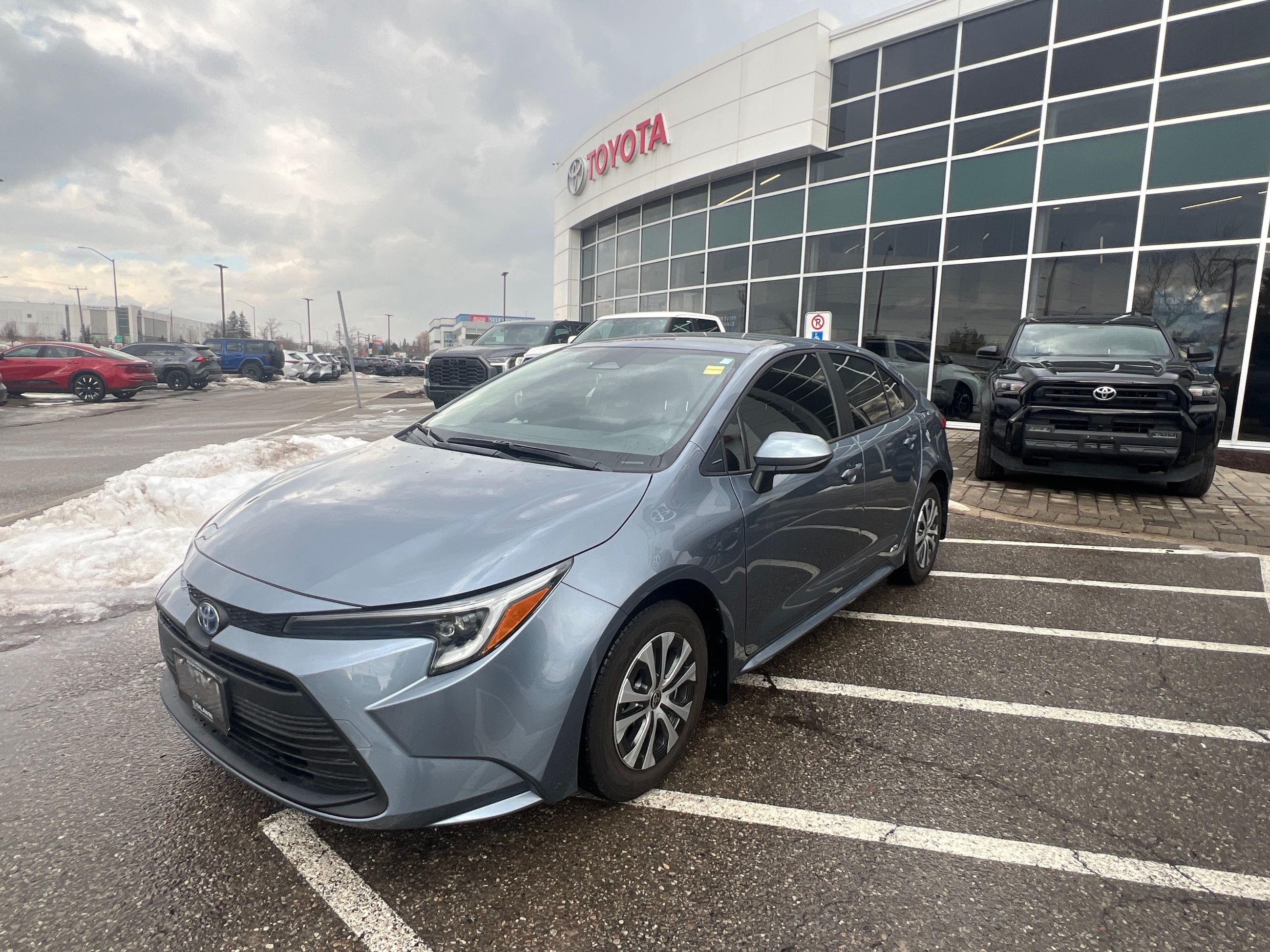 2025 Toyota Corolla Hybrid in Bolton, Ontario