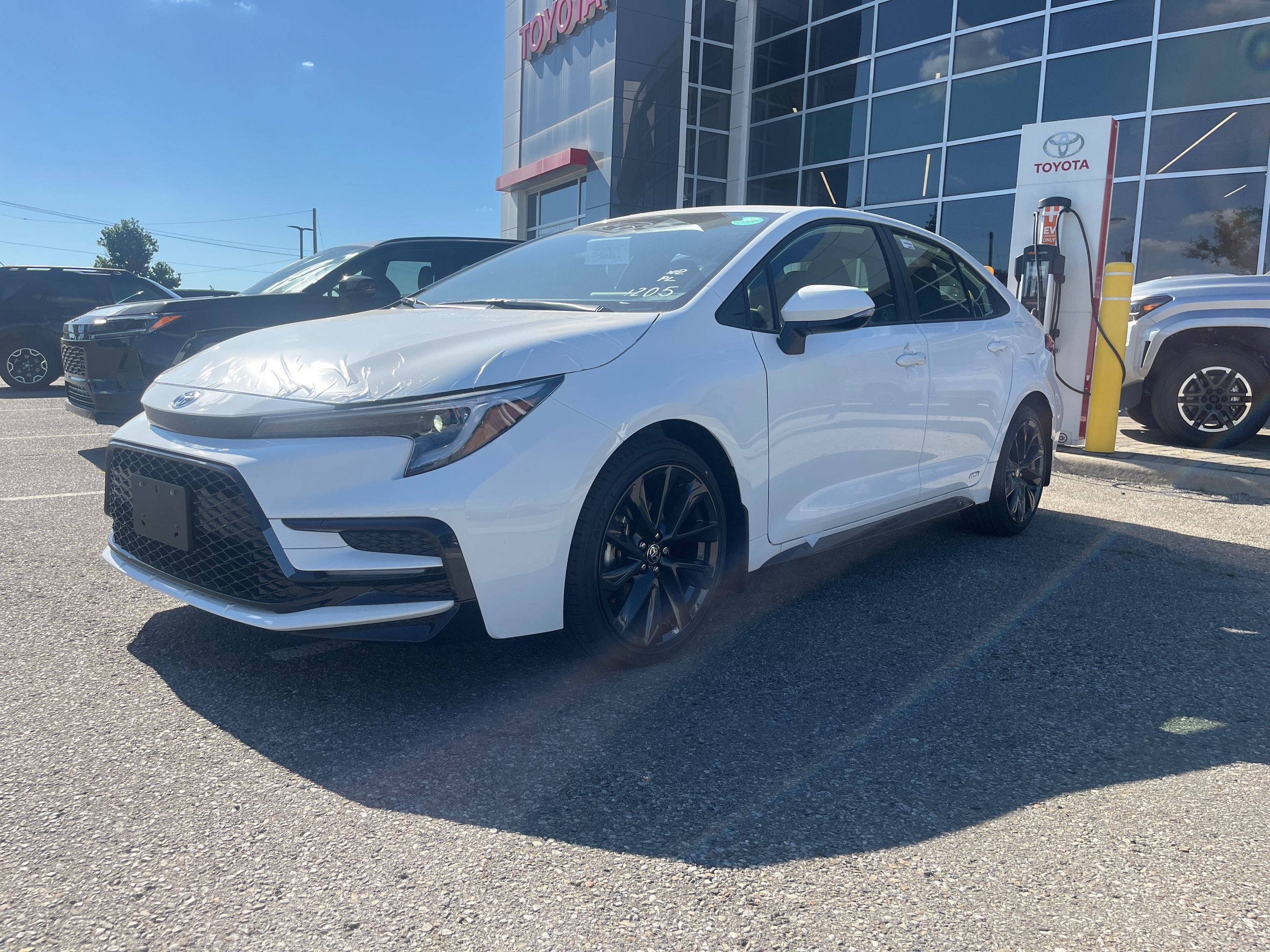 2026 Toyota Corolla Hybrid in Bolton, Ontario