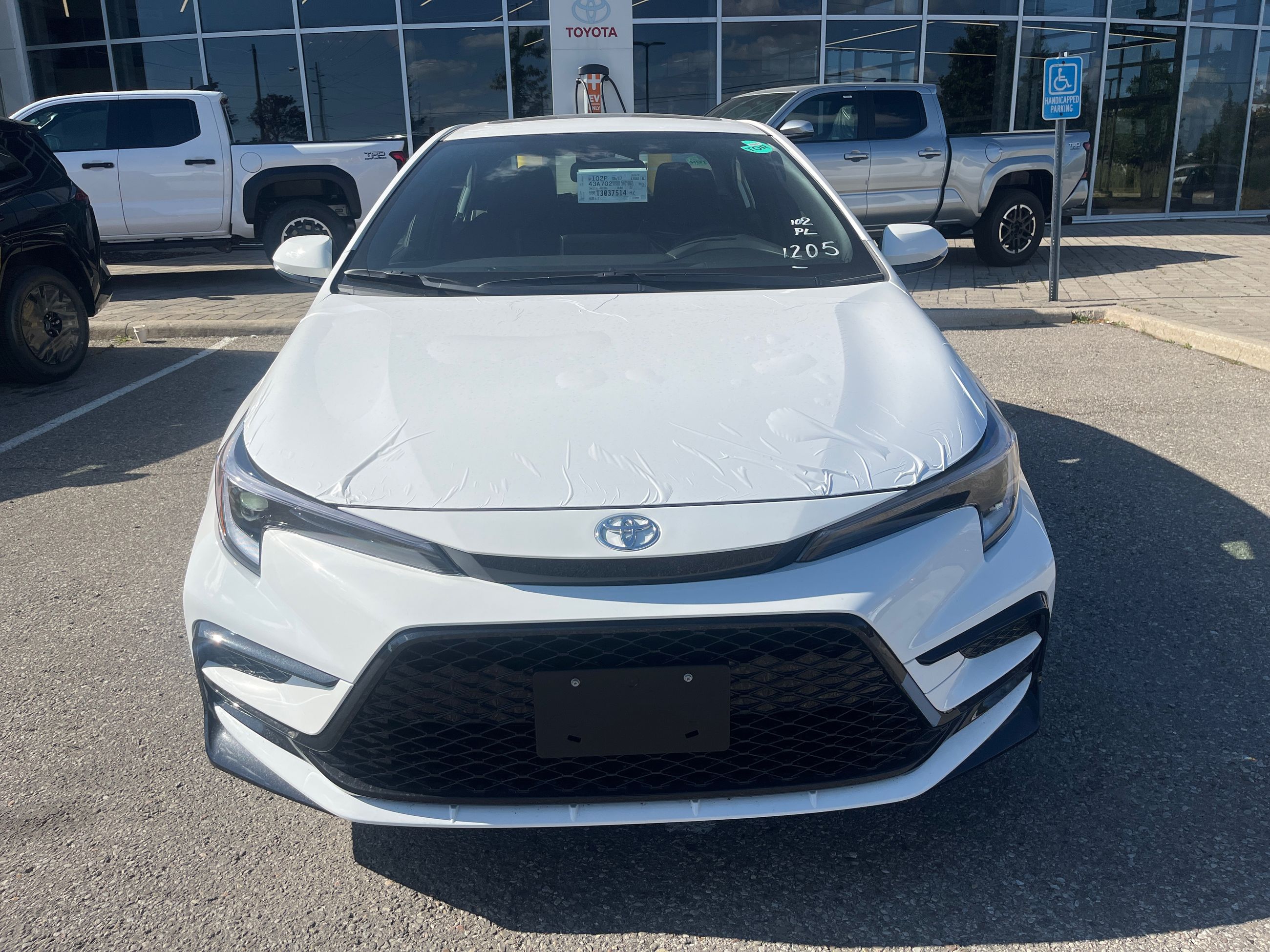 2026 Toyota Corolla Hybrid in Bolton, Ontario
