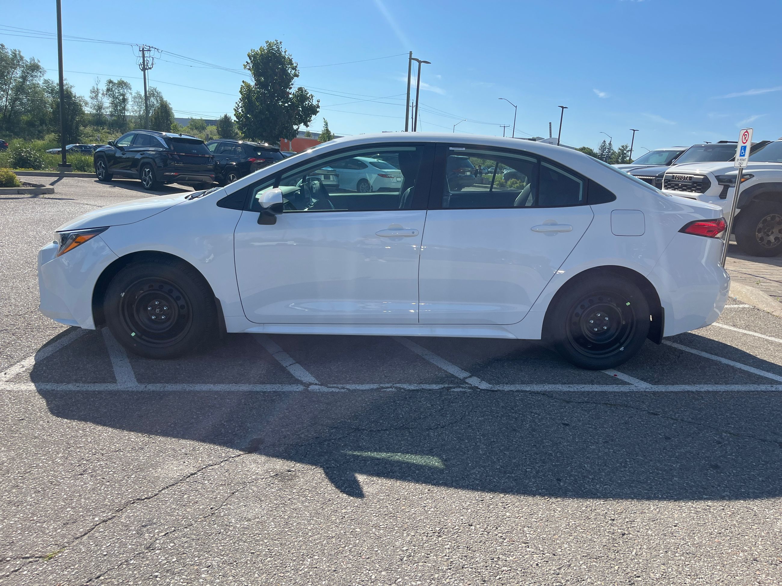2026 Toyota Corolla in Bolton, Ontario