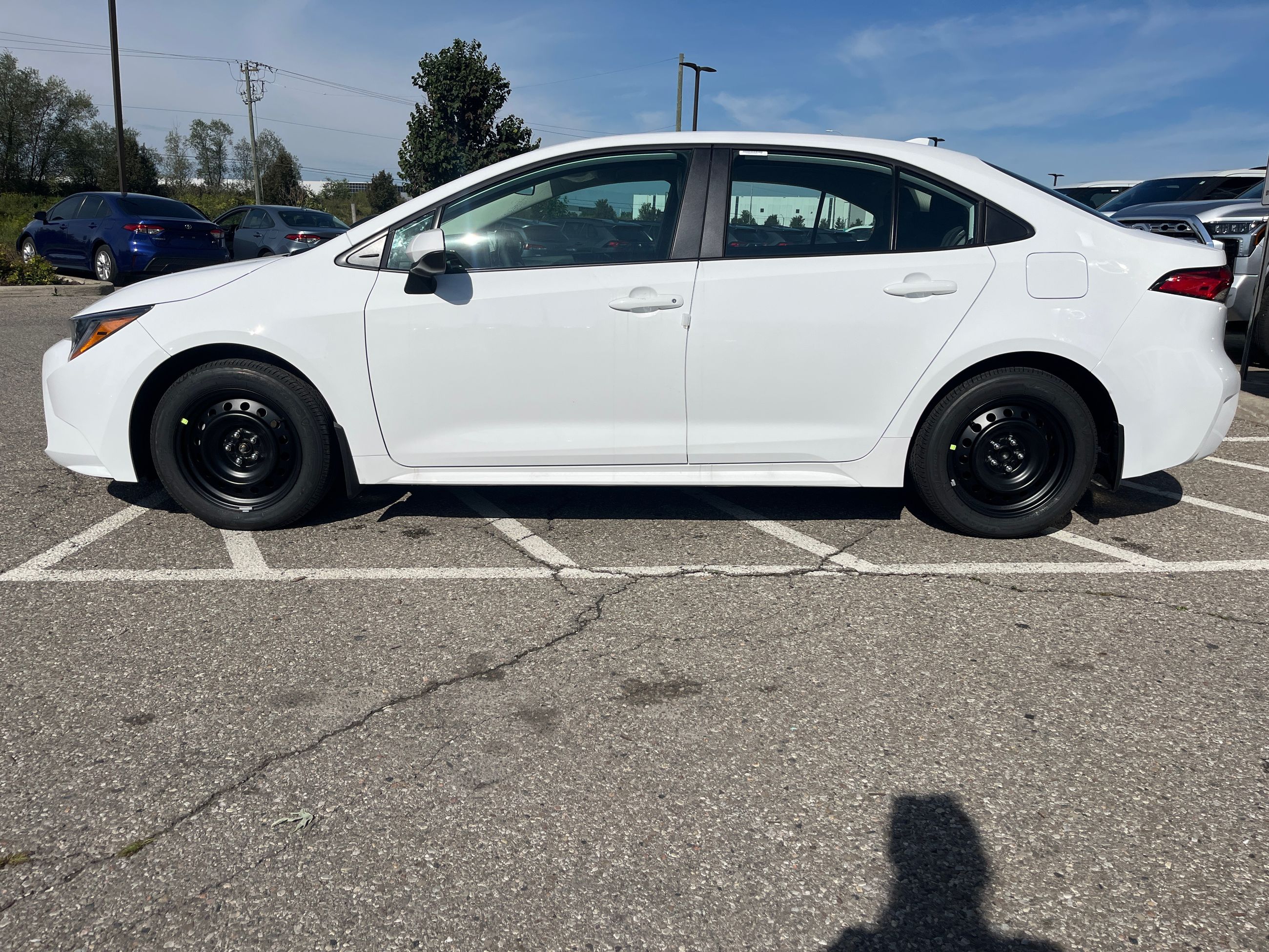 Toyota Corolla  2026 à Bolton, Ontario