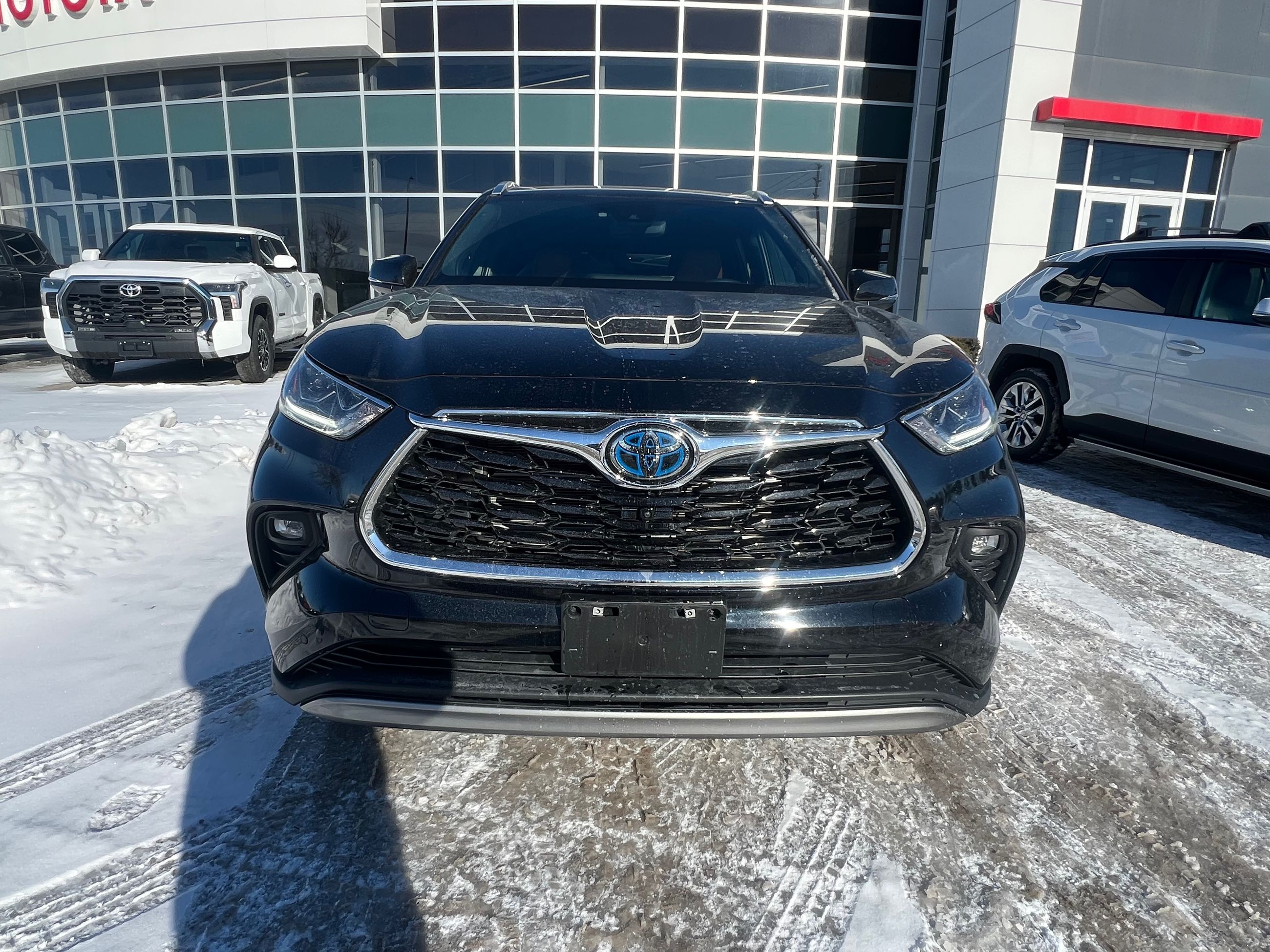 Toyota Highlander Hybrid  2024 à Bolton, Ontario
