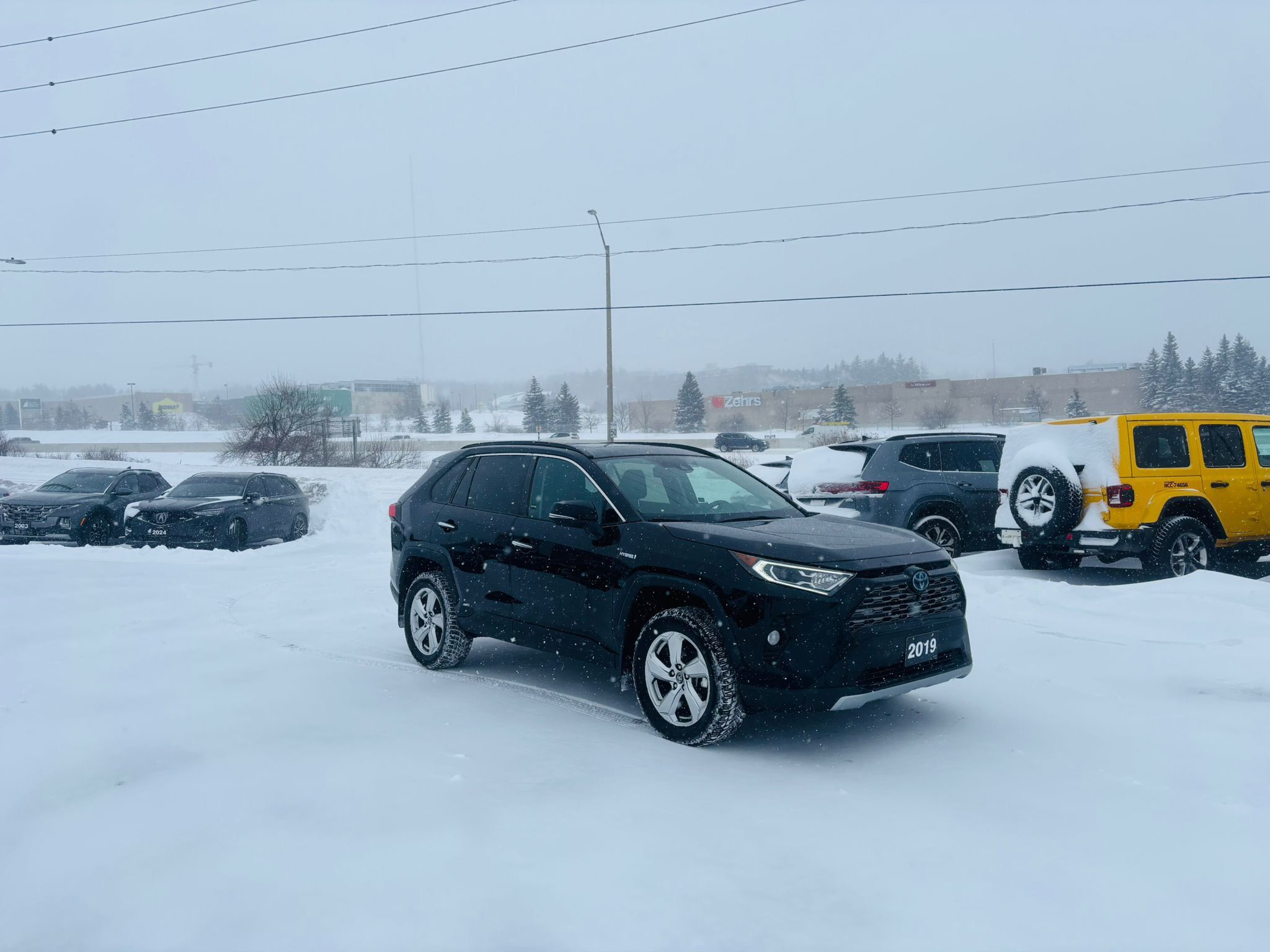 2019 Toyota RAV4