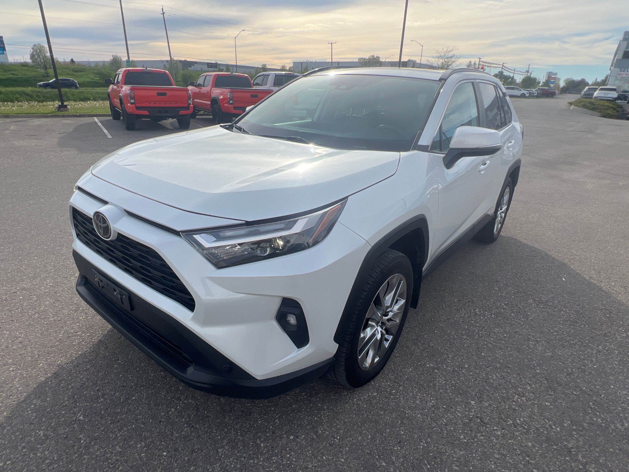 2024 Toyota RAV4 in Bolton, Ontario