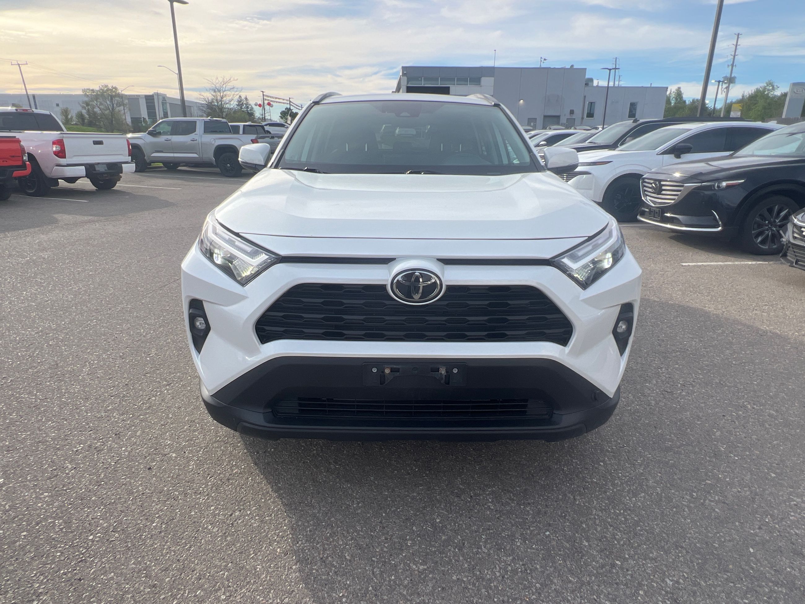 2024 Toyota RAV4 in Bolton, Ontario