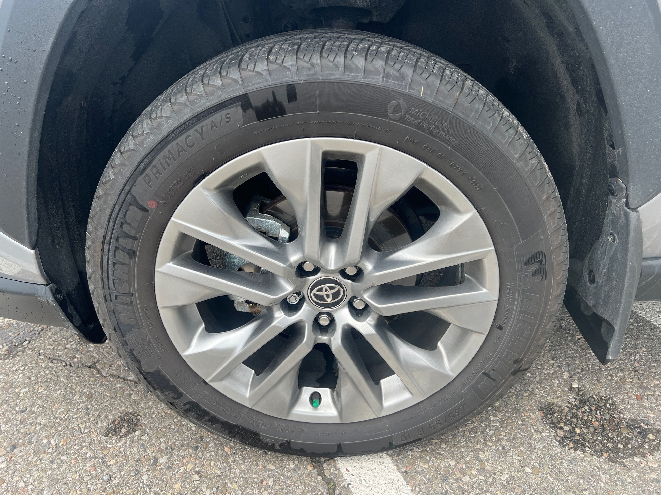2025 Toyota RAV4 in Bolton, Ontario