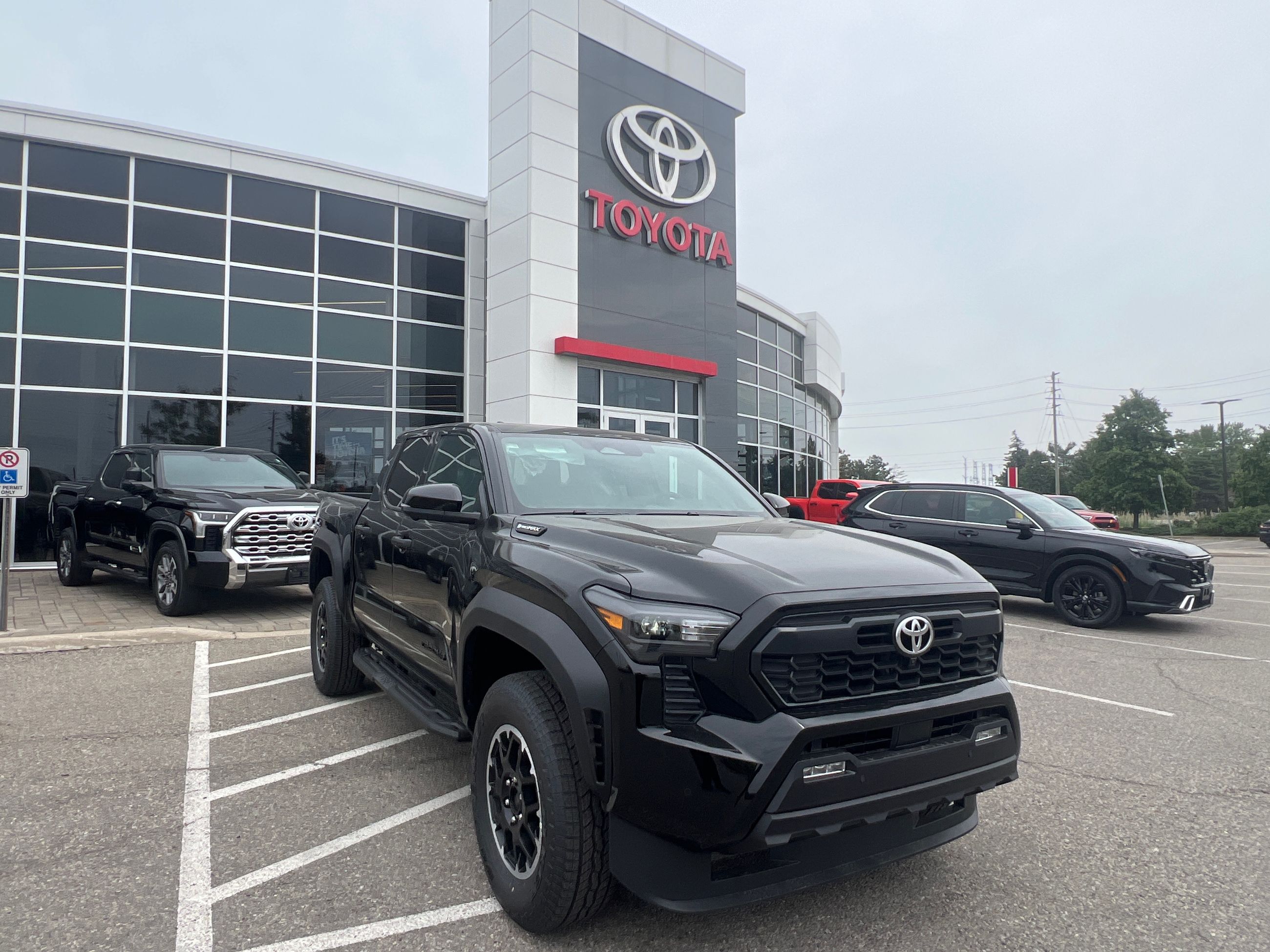 2025 Toyota TACOMA HYBRID in Bolton, Ontario
