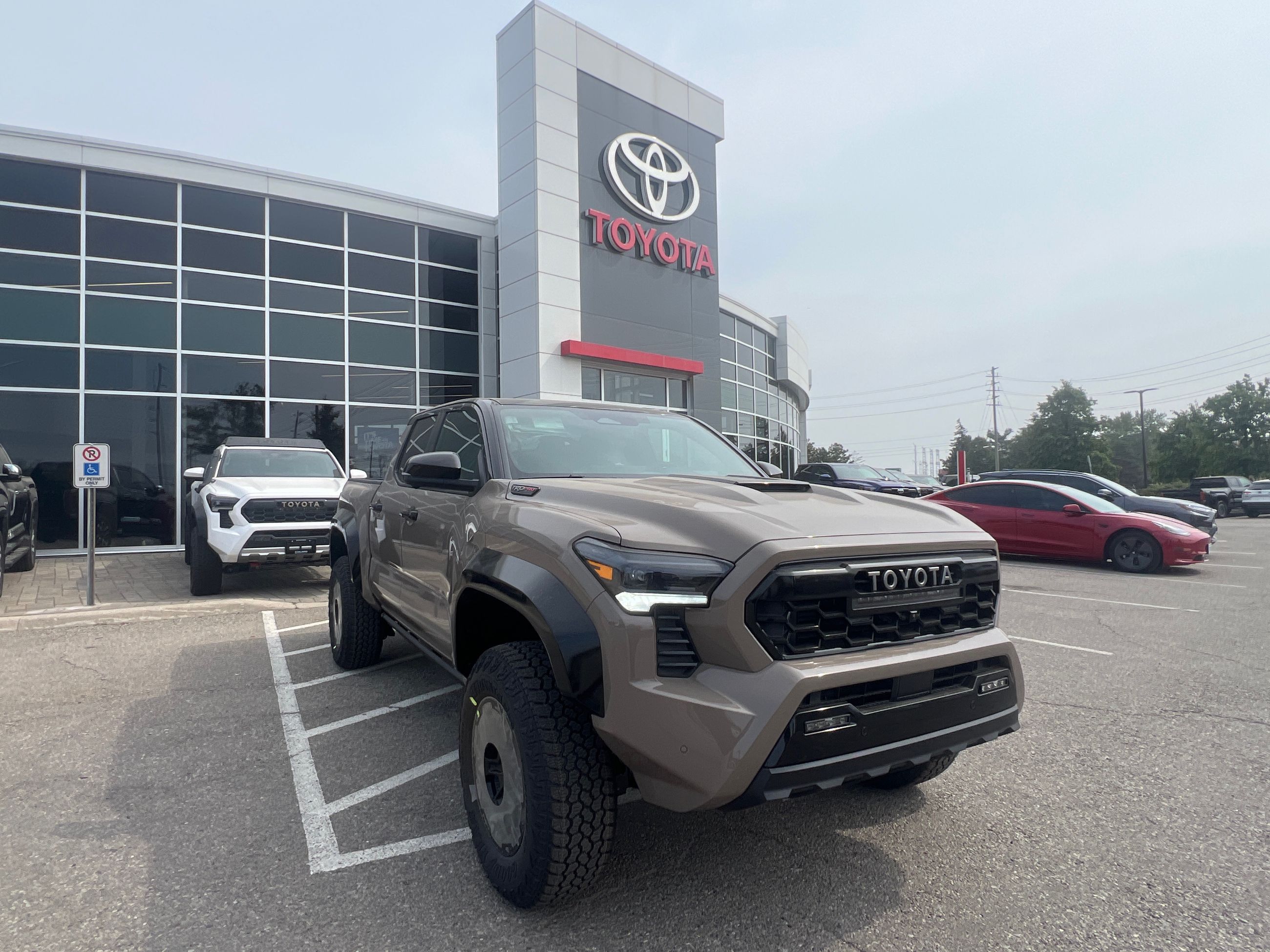 2025 Toyota TACOMA HYBRID in Bolton, Ontario