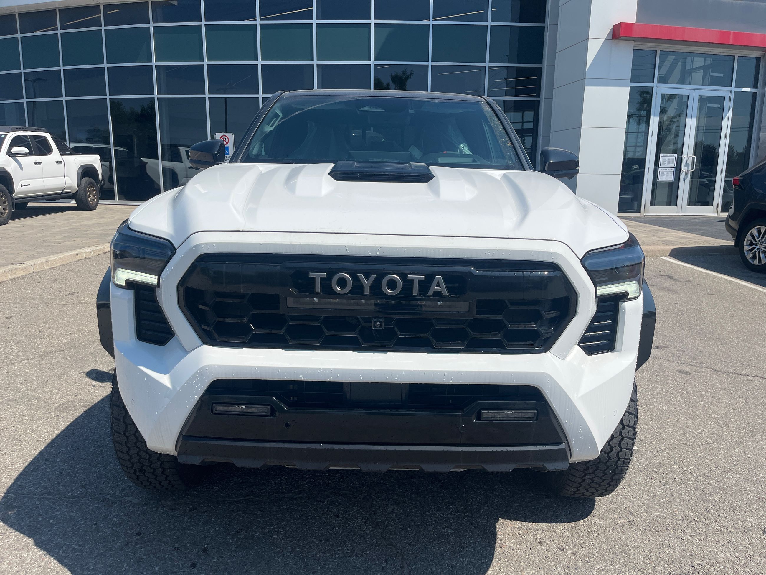 2026 Toyota Tacoma Hybrid in Bolton, Ontario