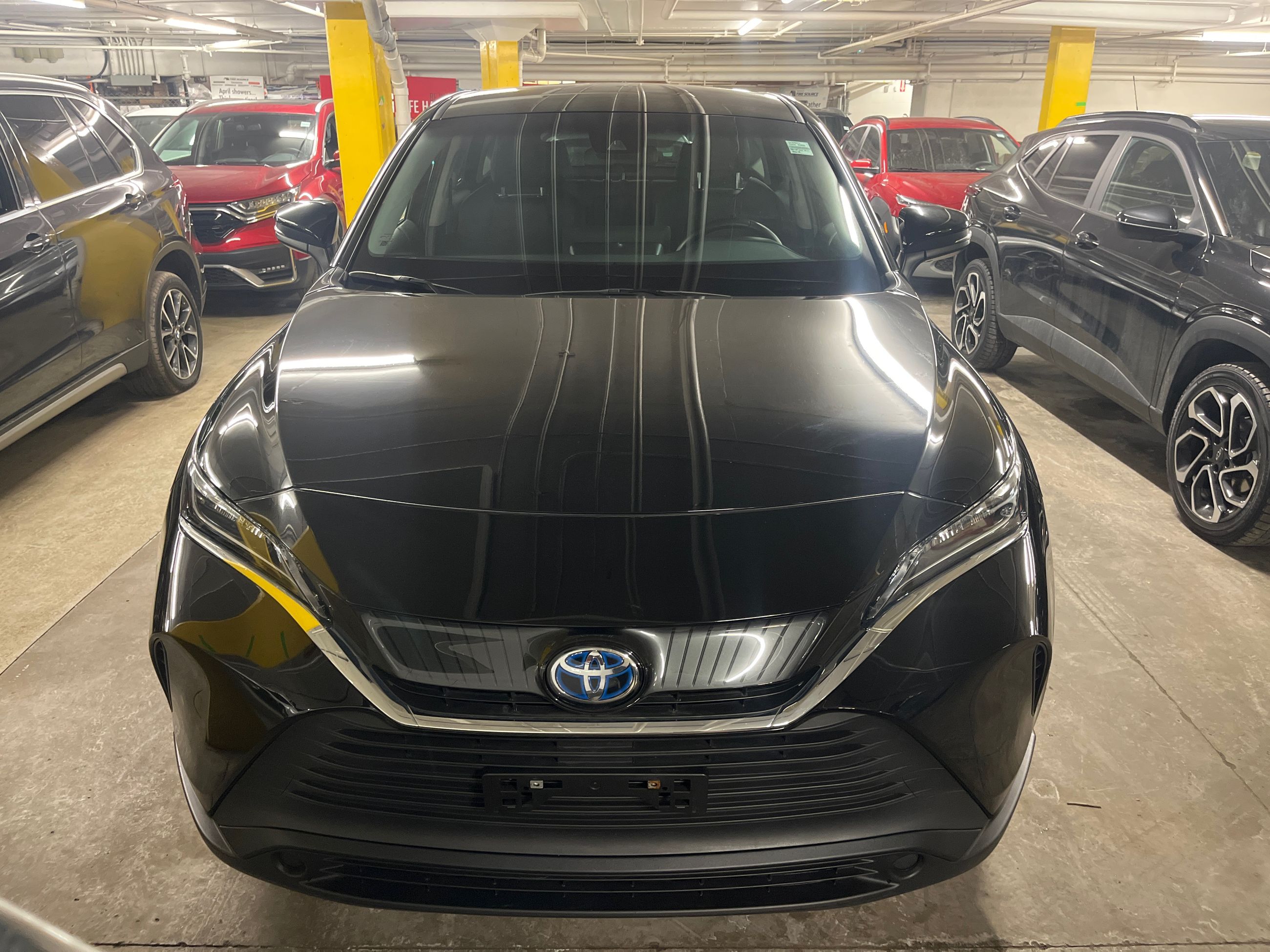 2024 Toyota Venza Hybrid