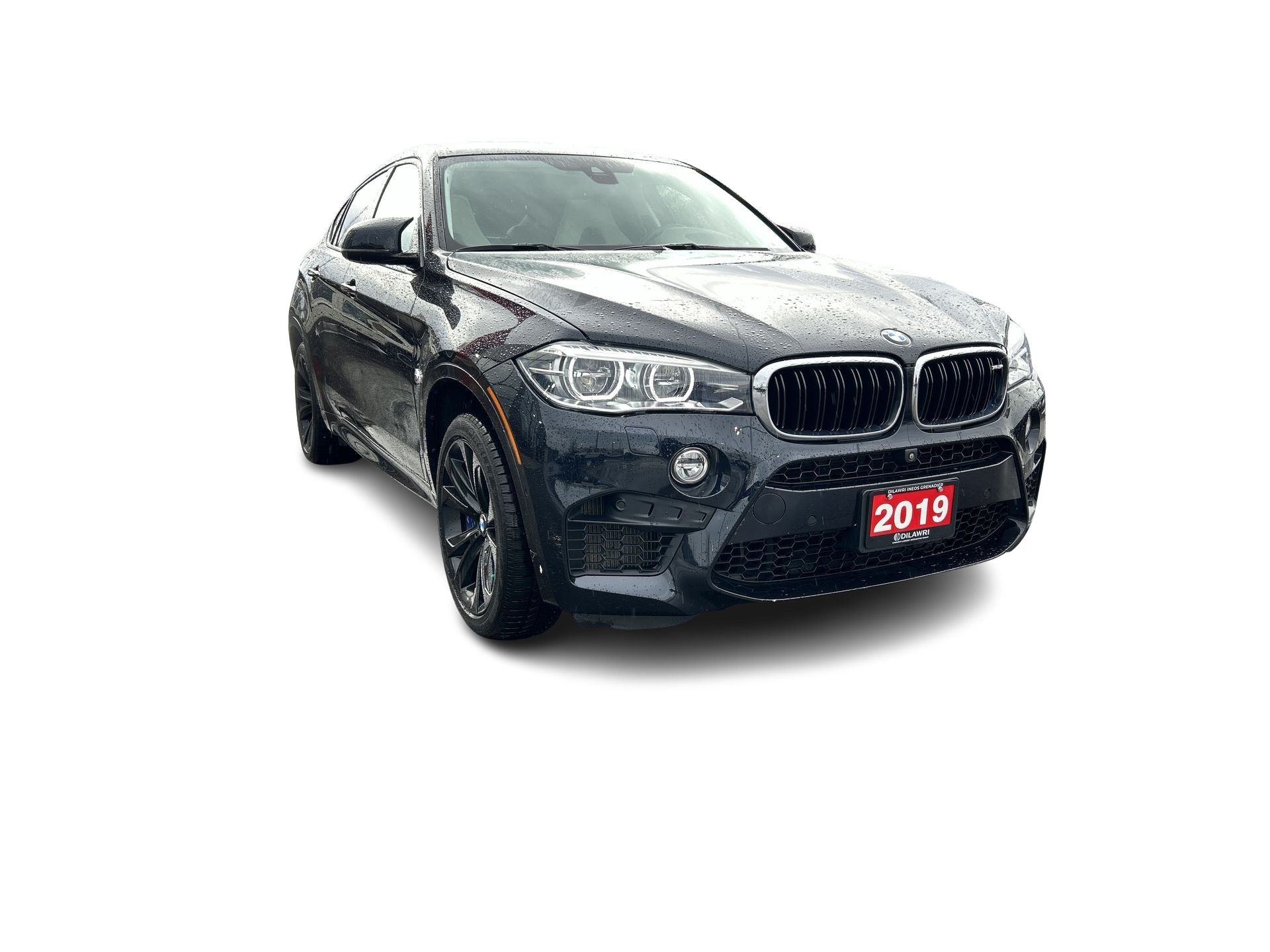2019 BMW X6 M
