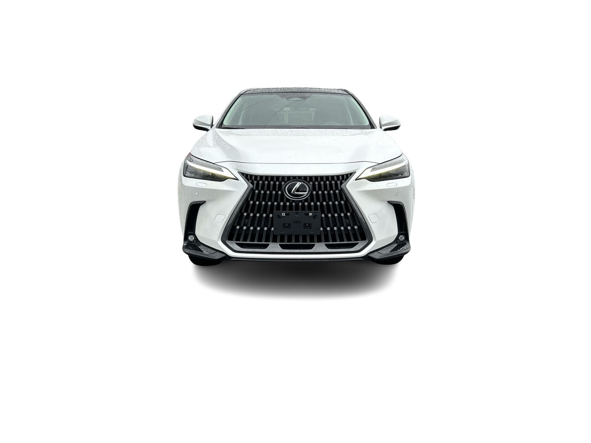 2024 Lexus NX