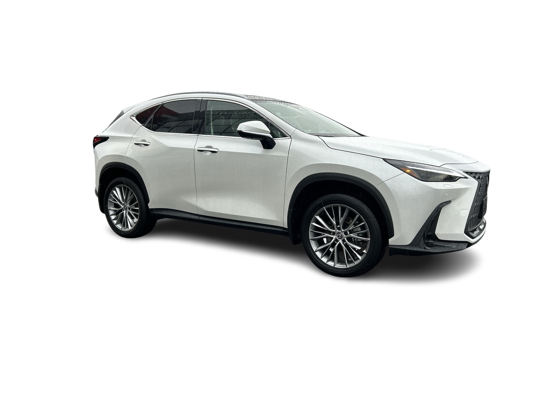 2024 Lexus NX