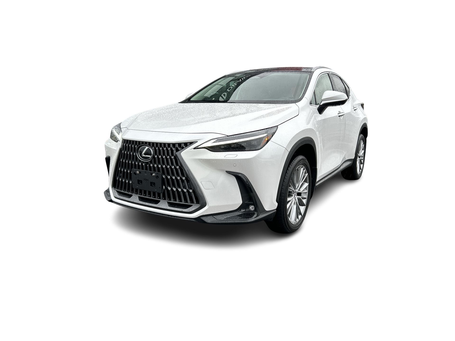 2024 Lexus NX