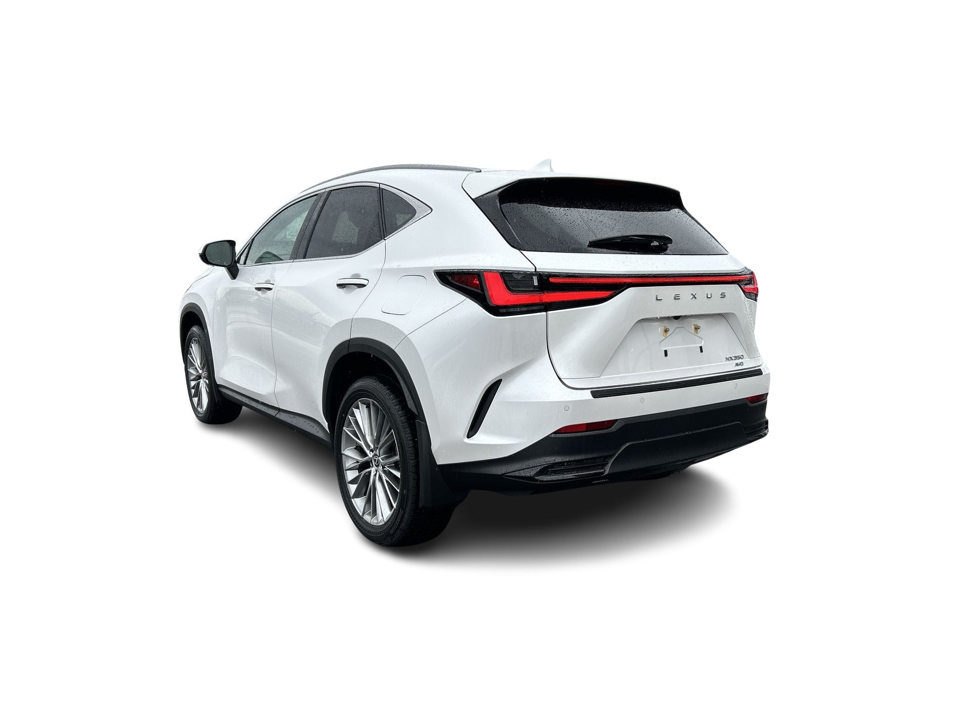 2024 Lexus NX