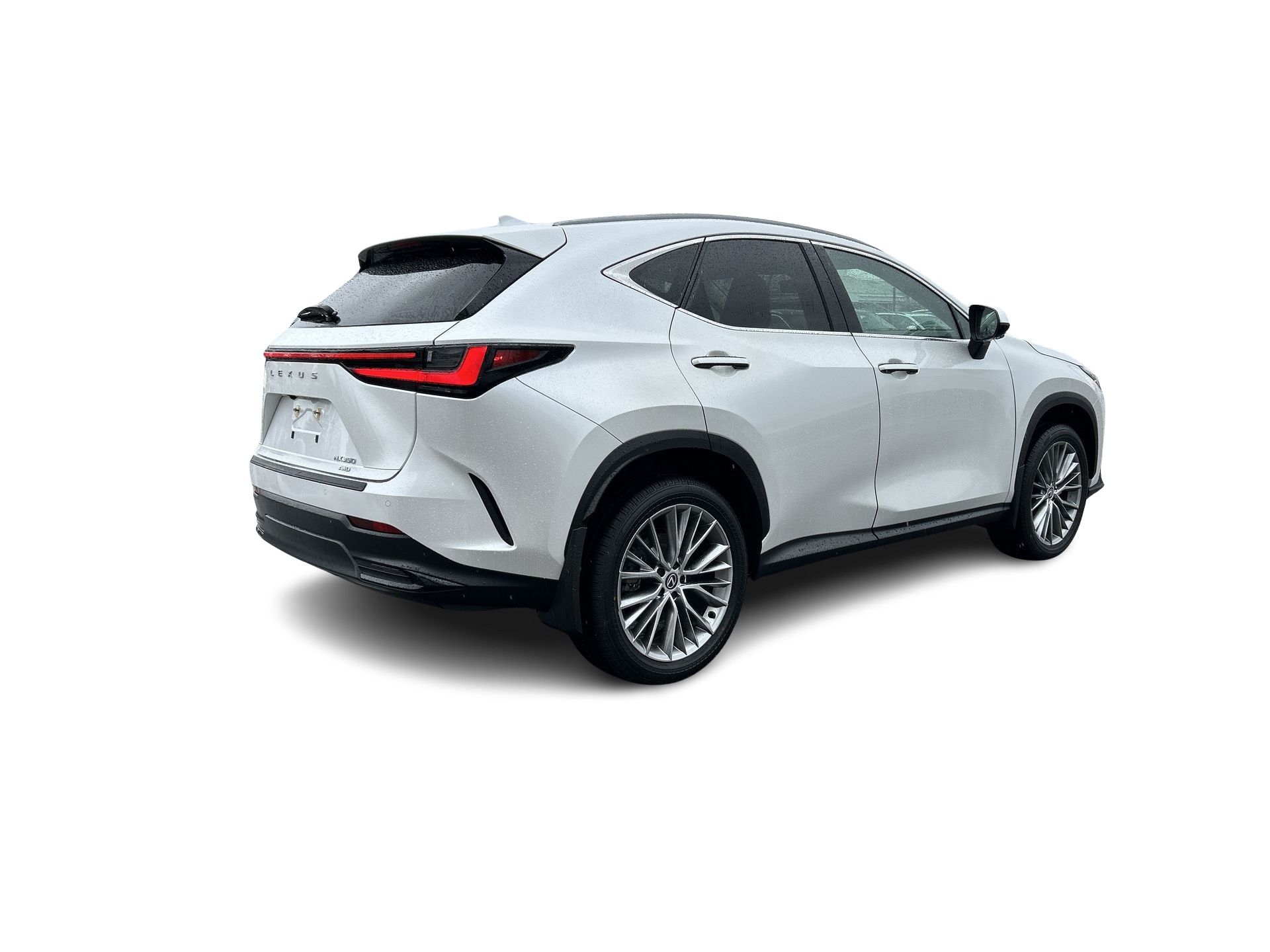 2024 Lexus NX