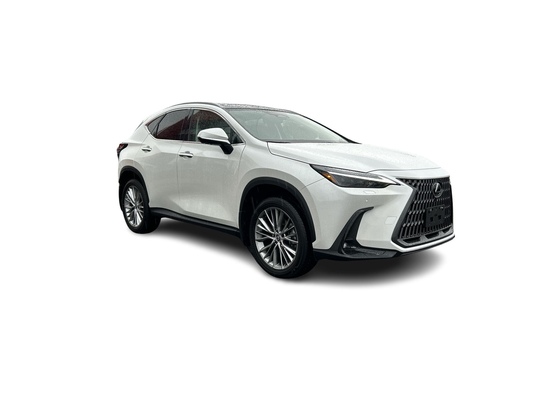 2024 Lexus NX