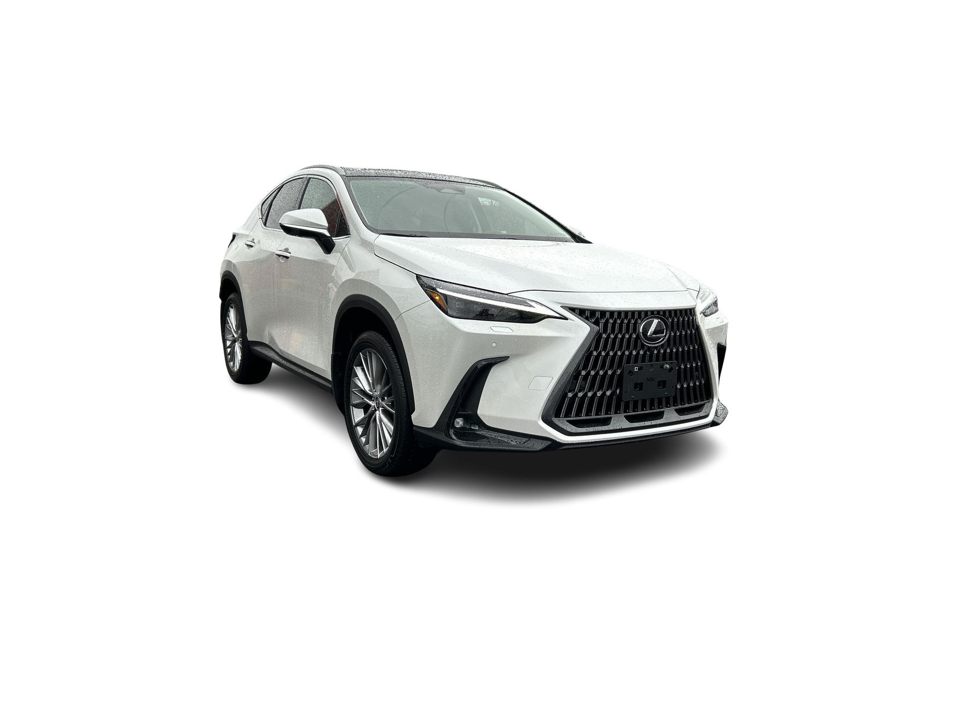 2024 Lexus NX