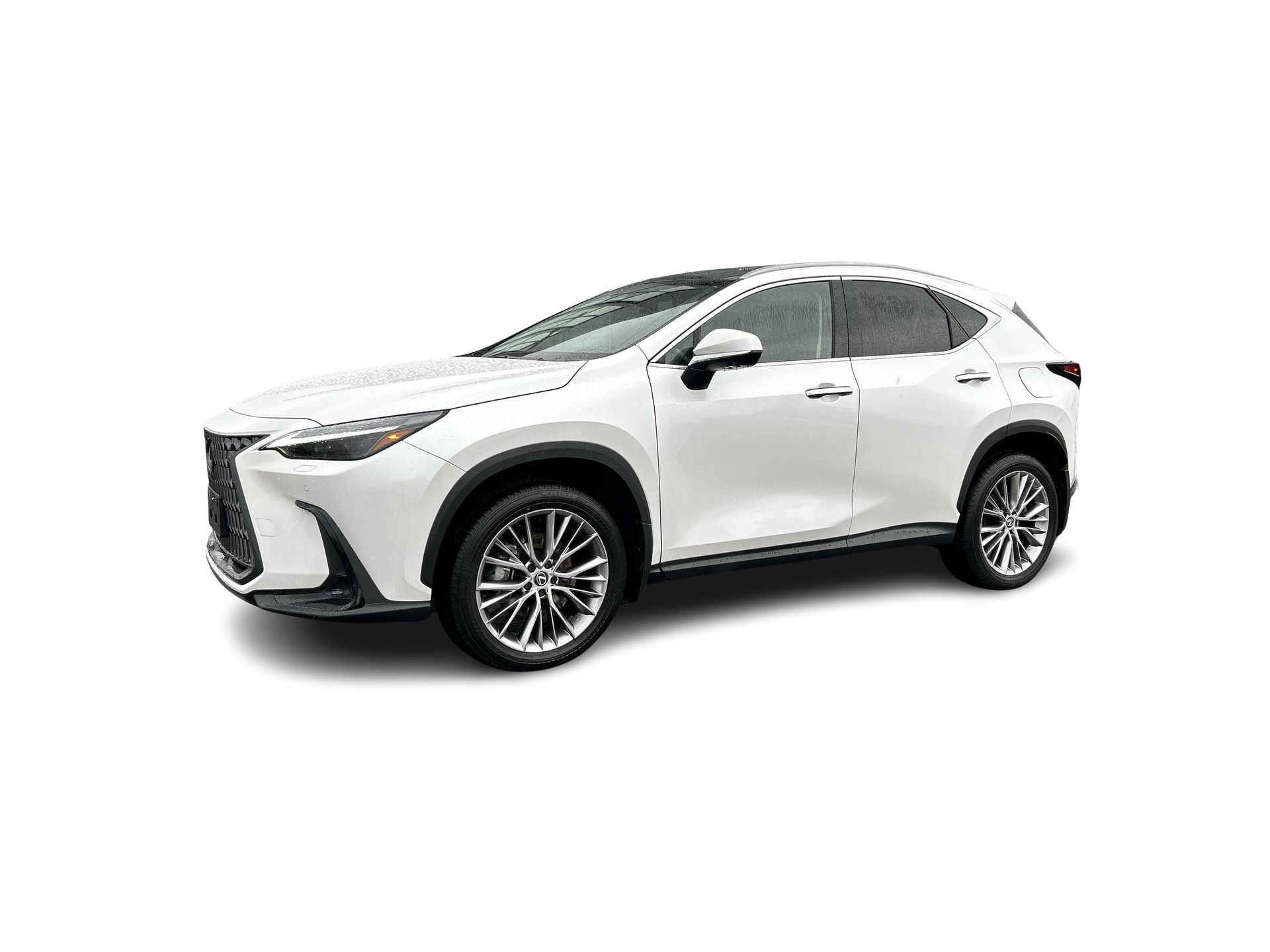 2024 Lexus NX