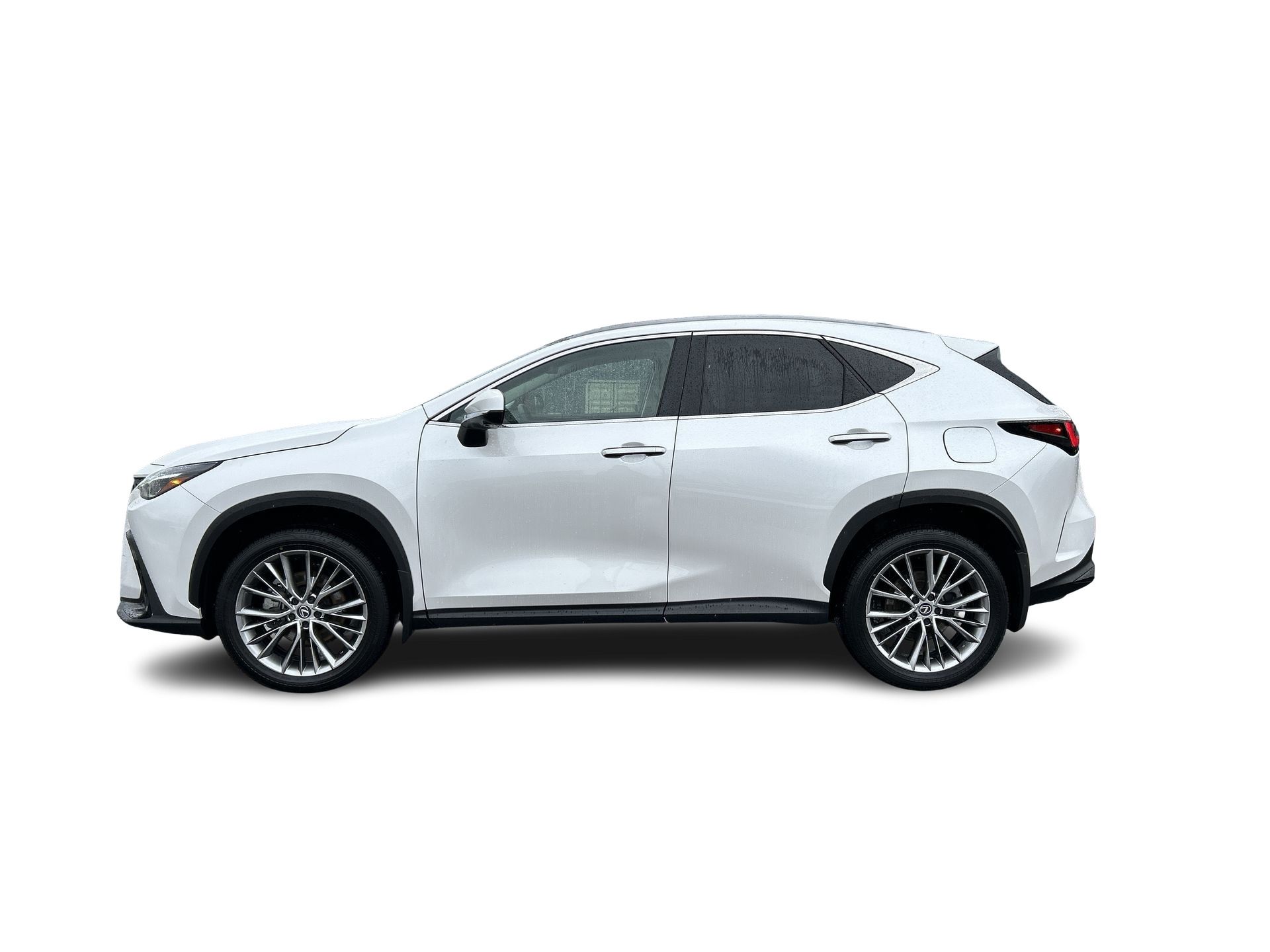 2024 Lexus NX