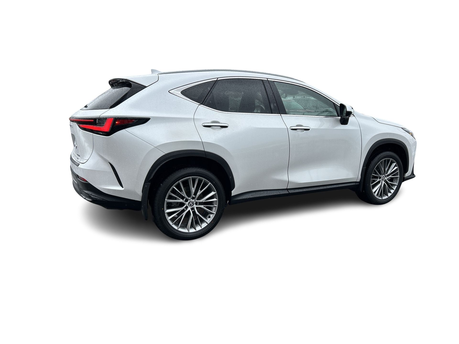 2024 Lexus NX