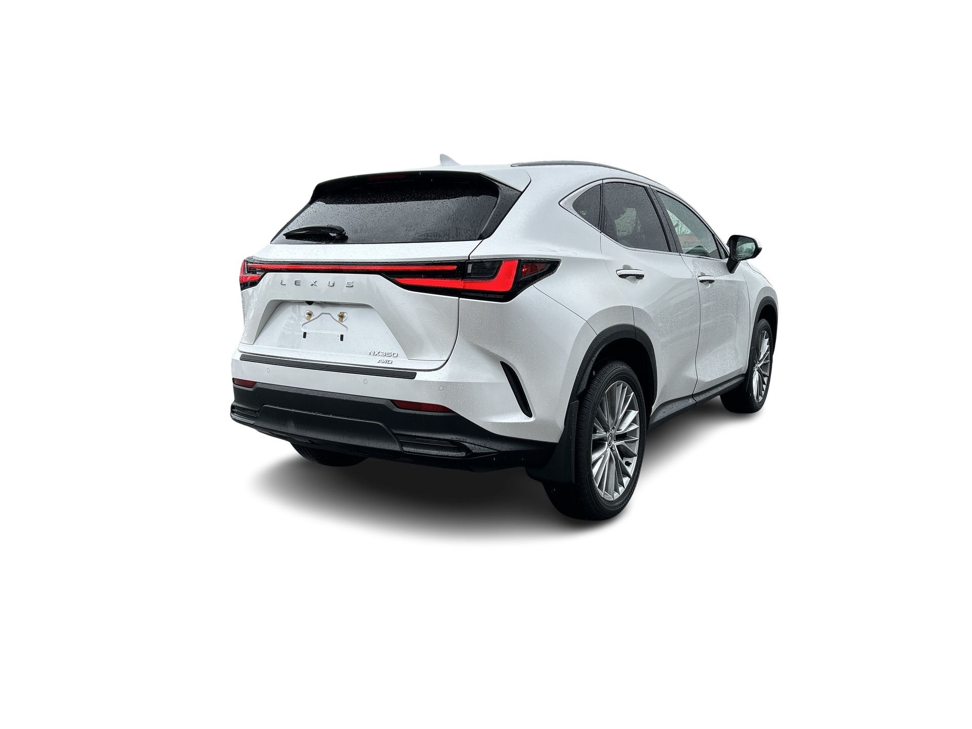 2024 Lexus NX