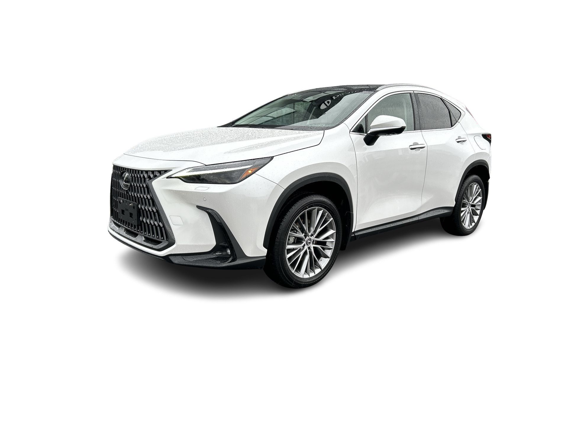 2024 Lexus NX