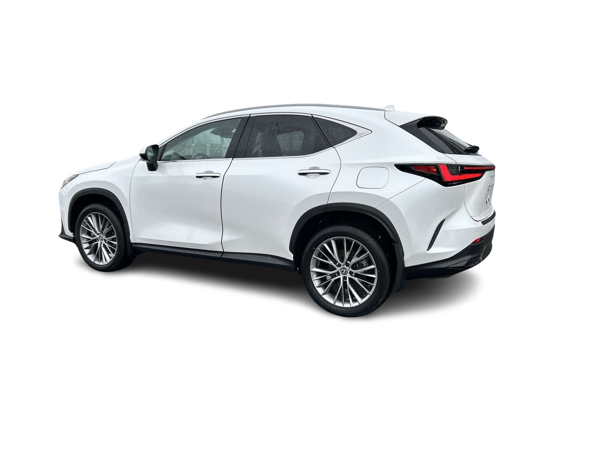 2024 Lexus NX