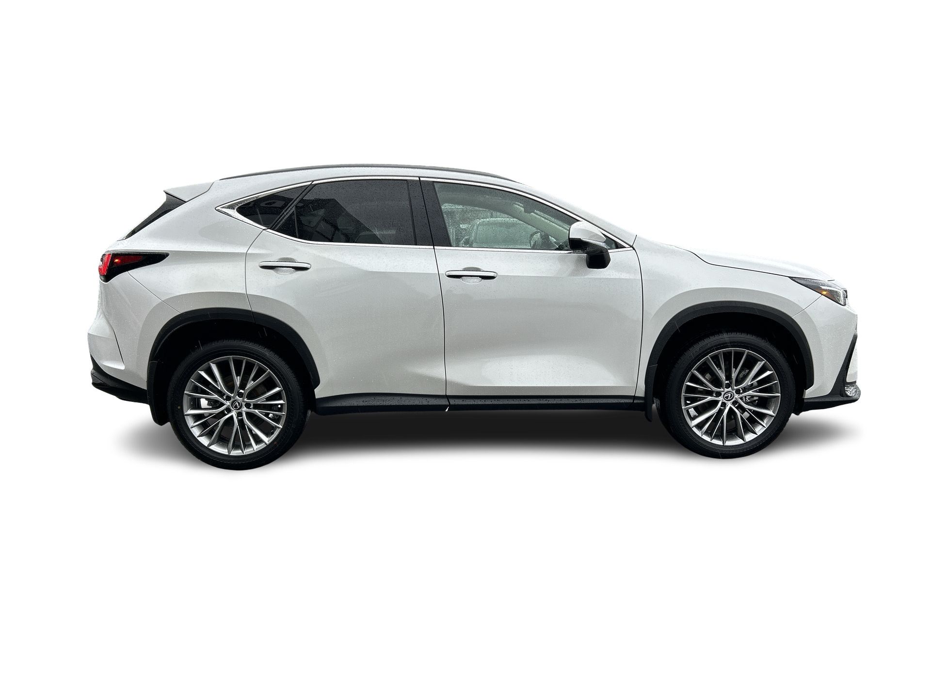 2024 Lexus NX
