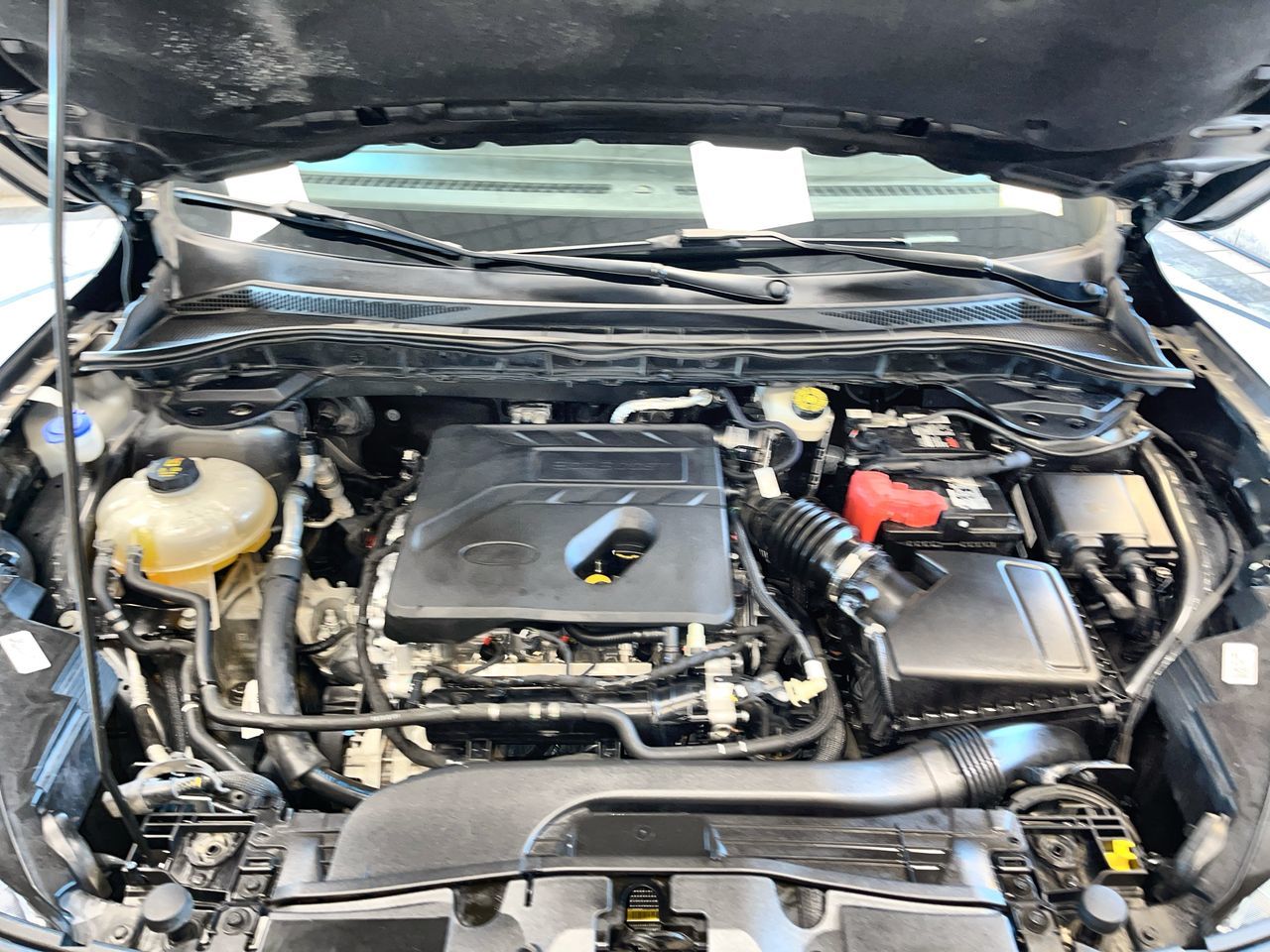 2020 Ford Escape in Regina, Saskatchewan