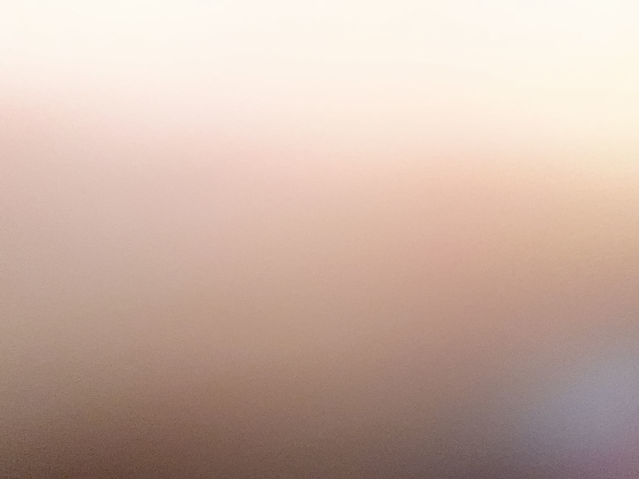 2021 Toyota RAV4 in Regina, Saskatchewan