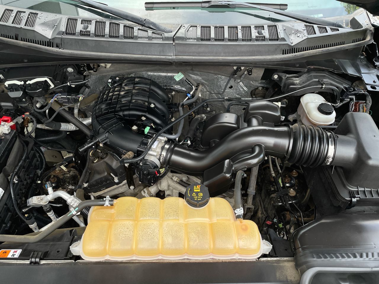 2017  F150