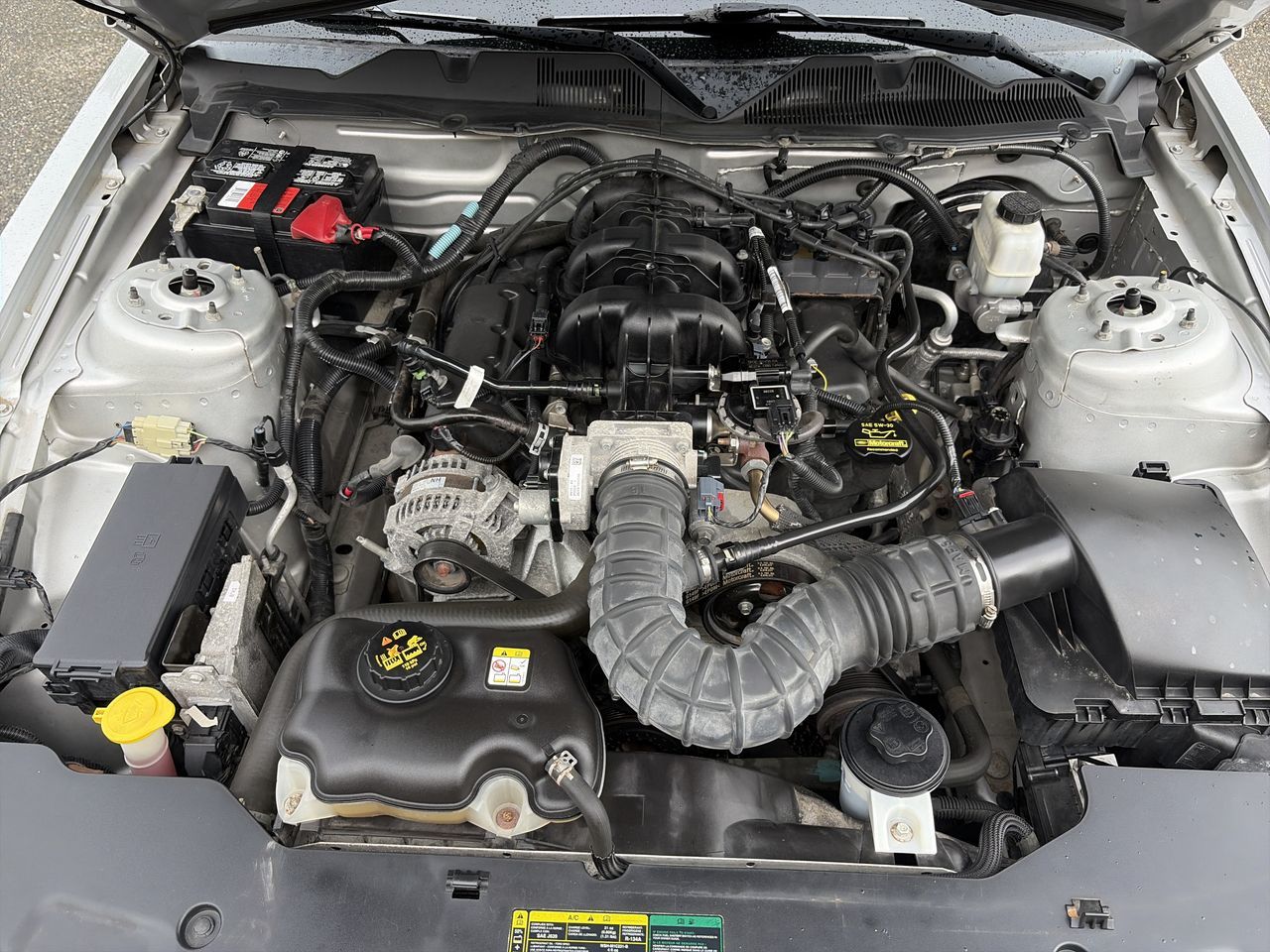 2010 Ford Mustang
