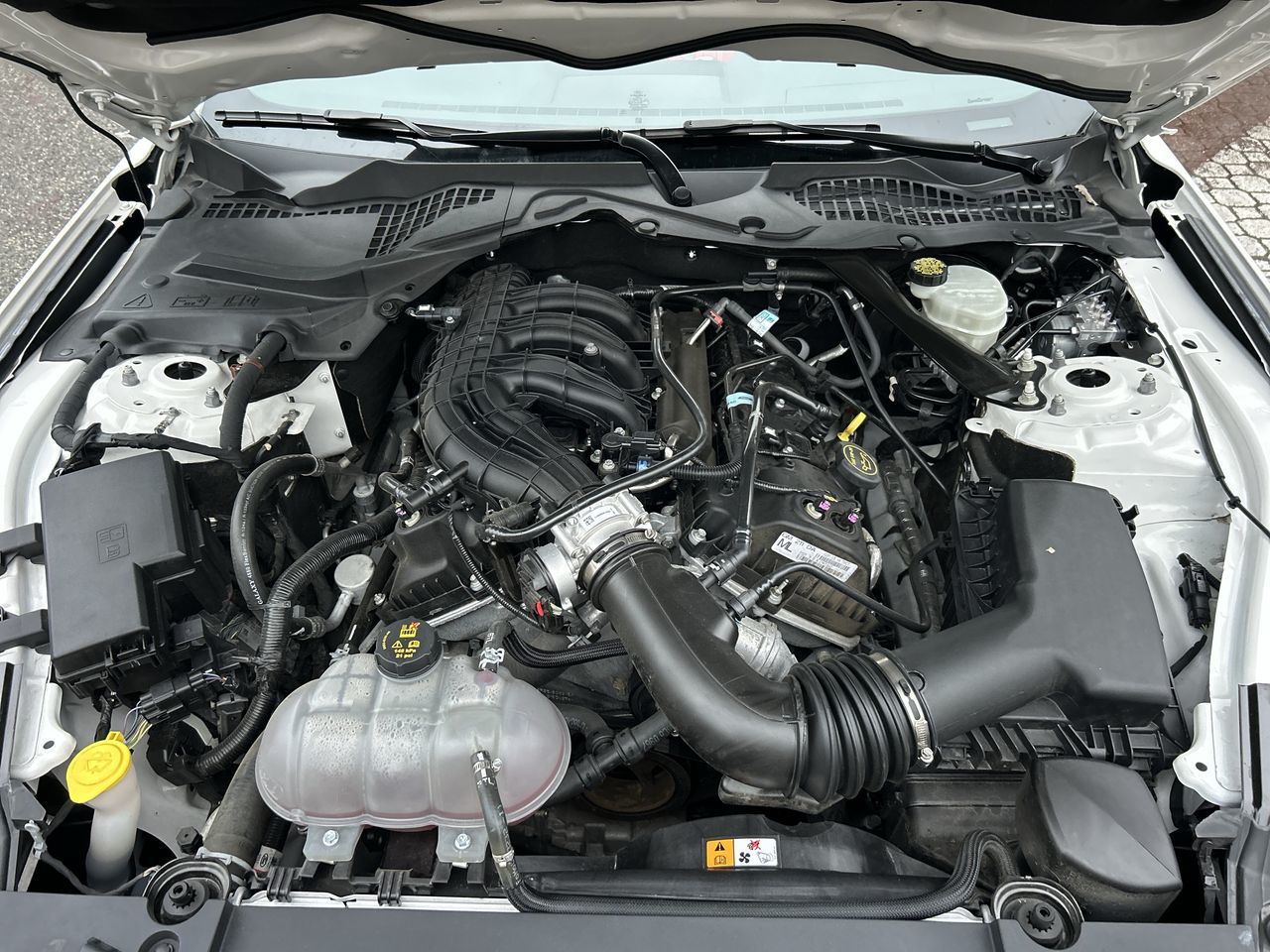 2017 Ford Mustang in Vancouver, British Columbia