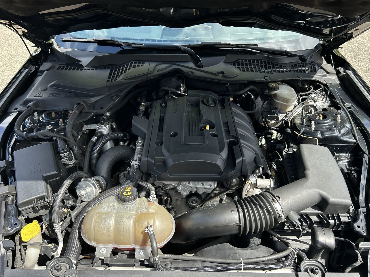 2019 Ford Mustang in Vancouver, British Columbia