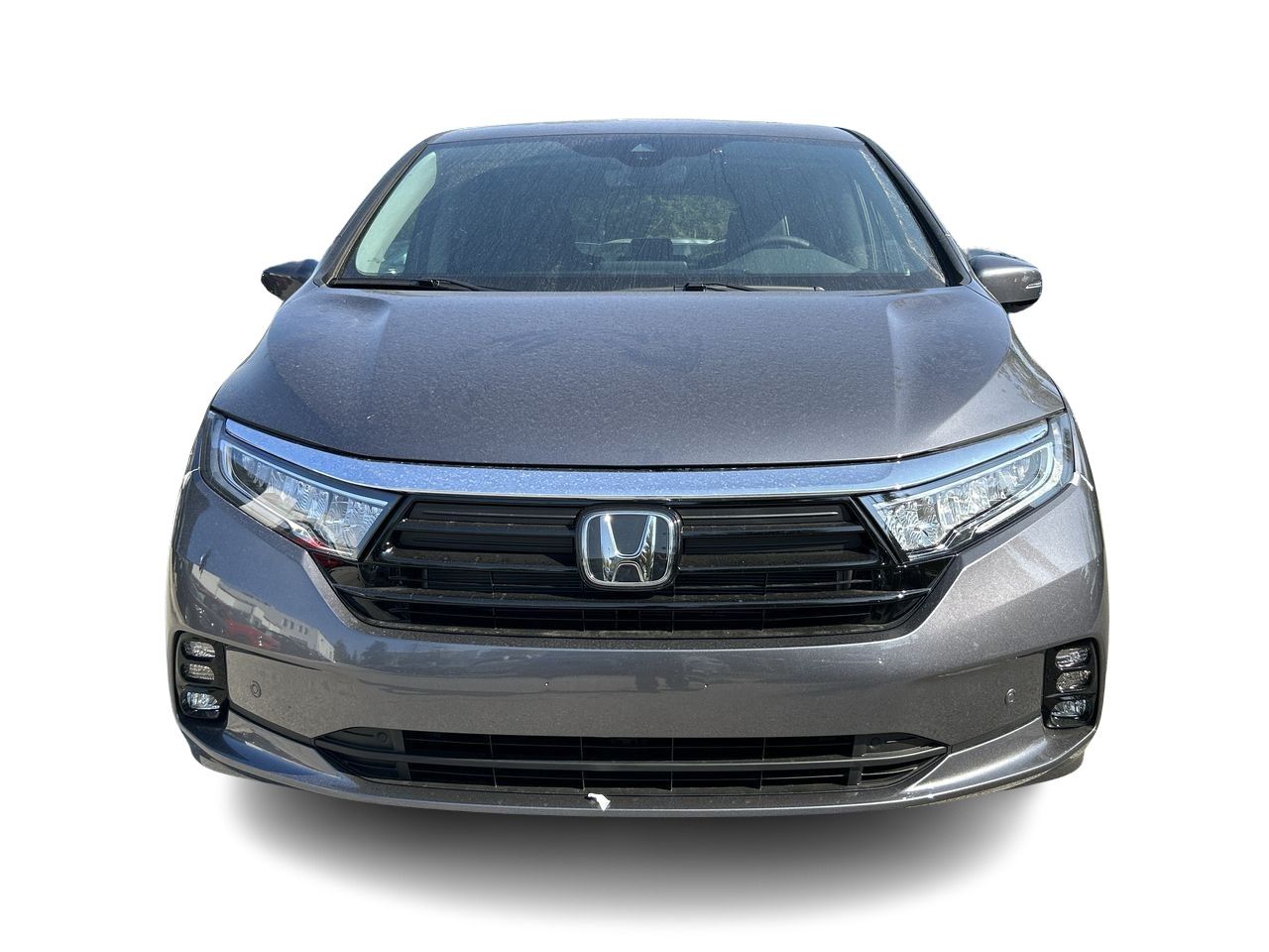 2024  Odyssey