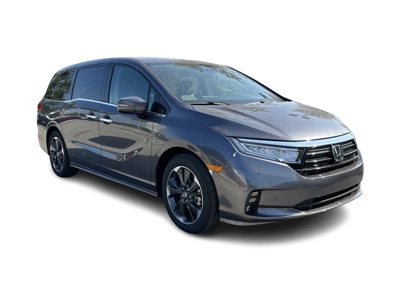 2024  Odyssey