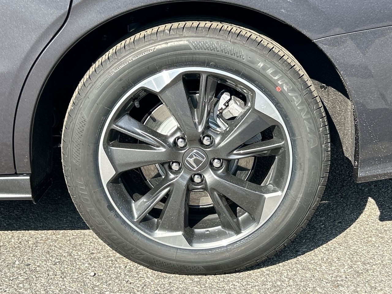 2024  Odyssey